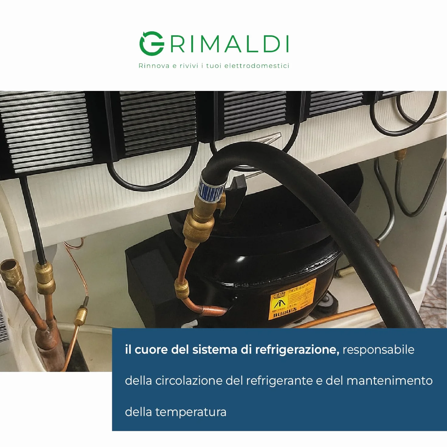G GRIMALDI Compressore GLY45AAa 1/8 HP 109W R134a 220-240V 50Hz gas R1234yf LBP statico RSIR