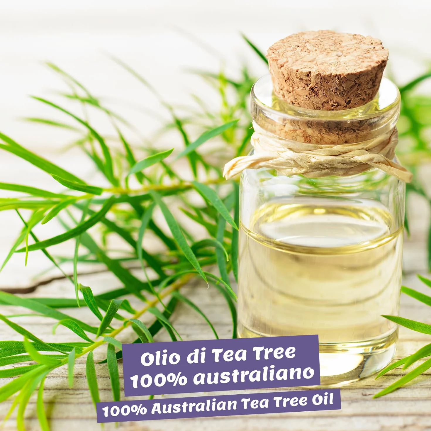Tea Tree Oil 50ml con Pipetta - Olio Essenziale di Albero del Tè Puro Biologico per Acne e Aromaterapia