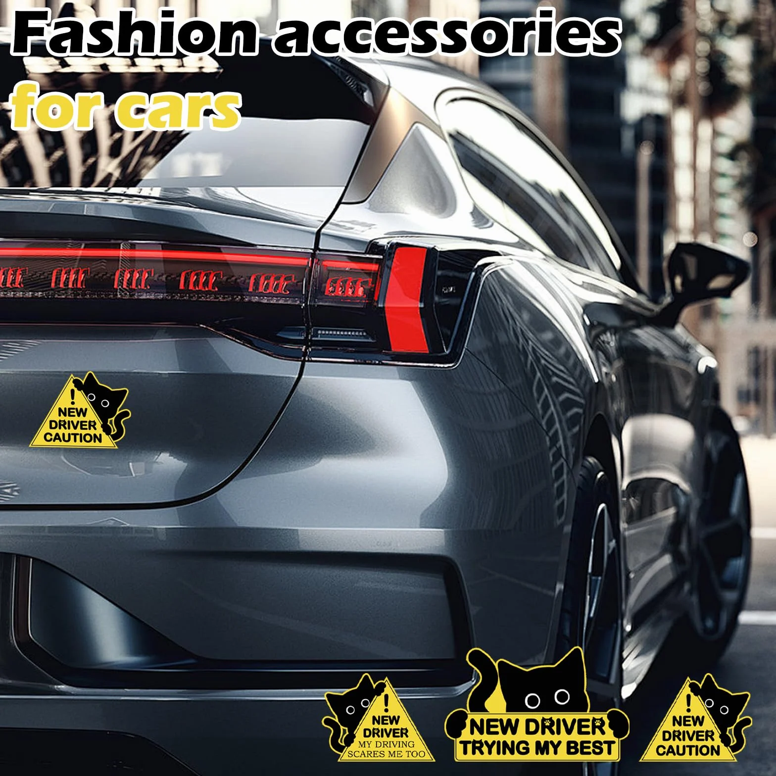 Magneti per auto con gatto nero per neopatentati segnali di avvertimento sicurezza