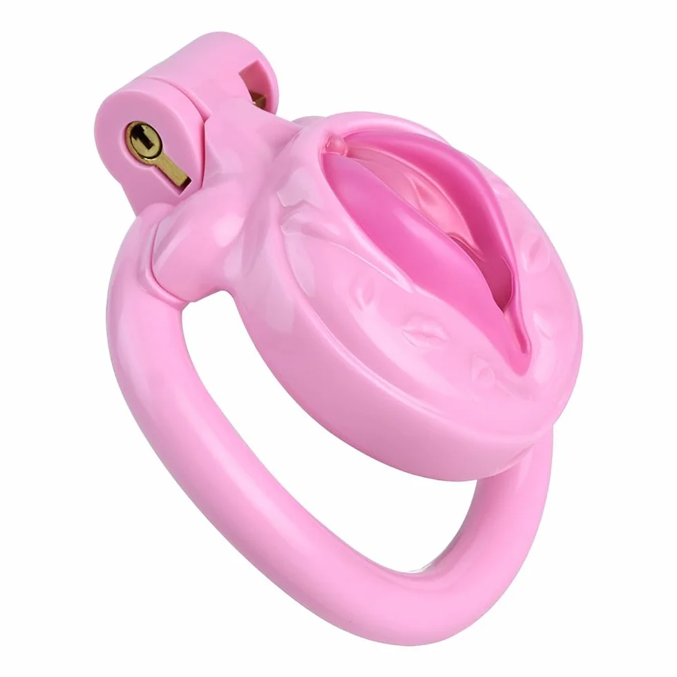 Sissy Chastity Cage Uomo Gabbia Pene Cintura Di Castità Maschile Cock Cage Erotitici Sexy Per Coppie (Pink)