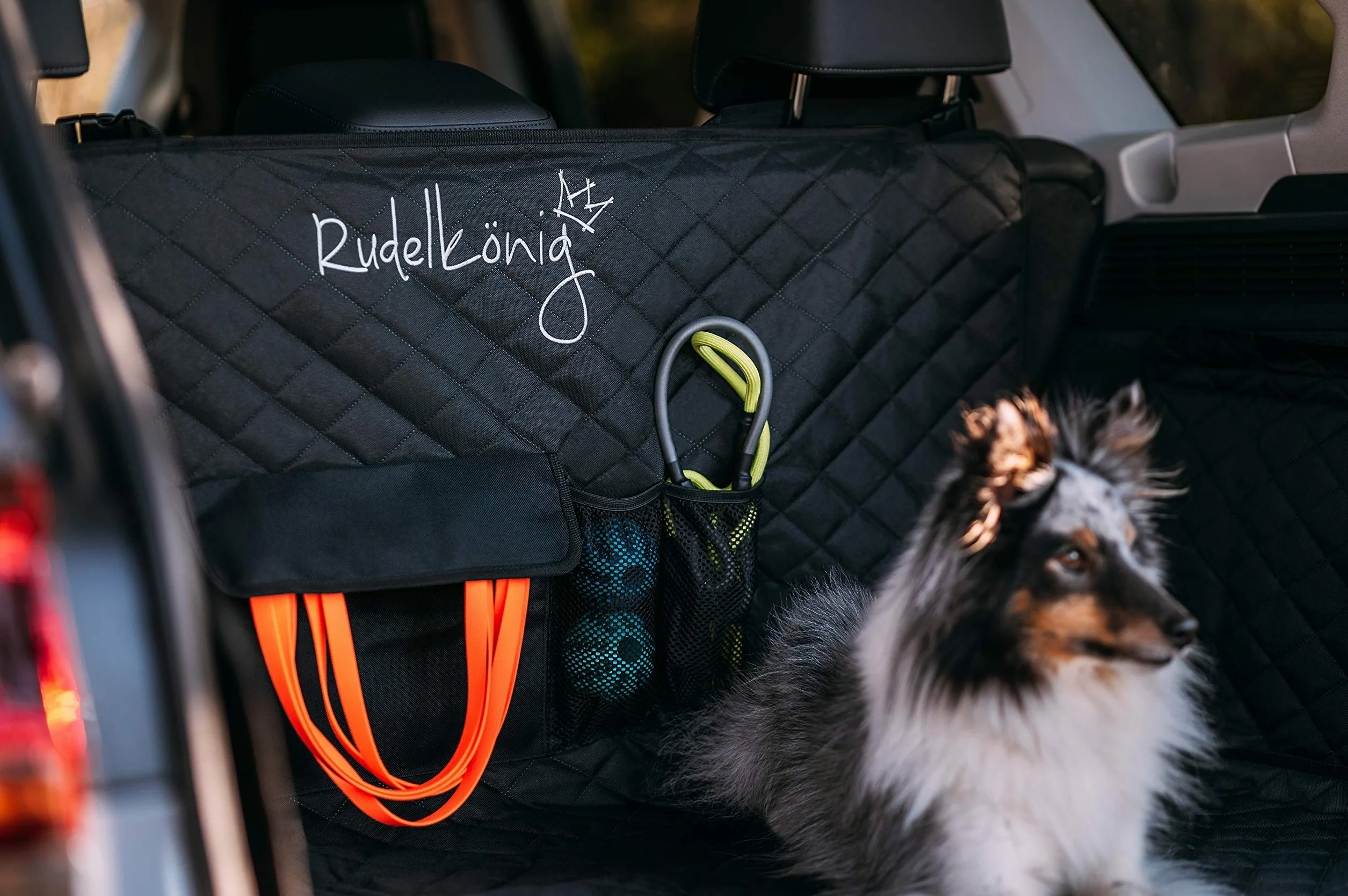 Rudelkönig Telo Auto per Cani Copertura Bagagliaio Auto Idrorepellente Rivestimento Bagagliaio per Cani Antiscivolo