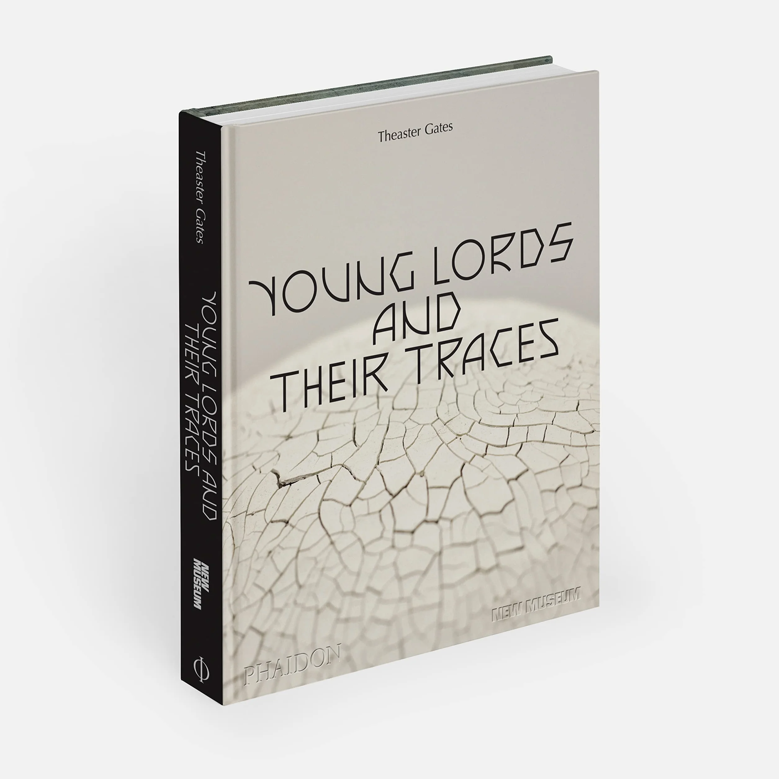 Theaster Gates: young lords and their traces