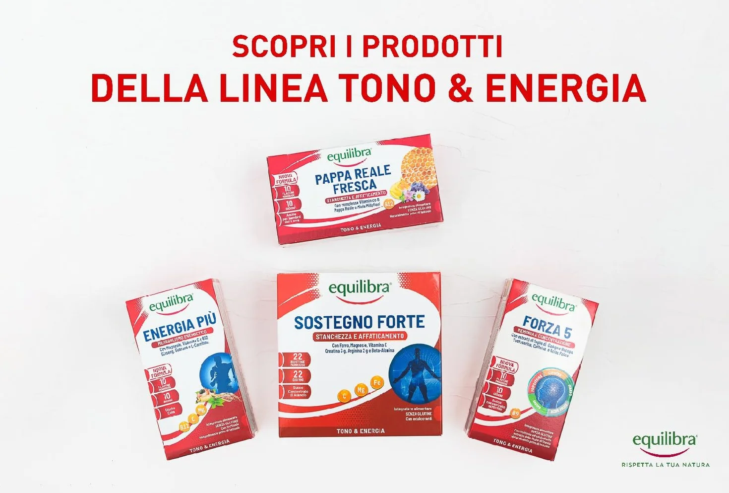 Equilibra Pappa Reale Fresca Integratore con Vitamine B e Miele Millefiori 10 Flaconcini