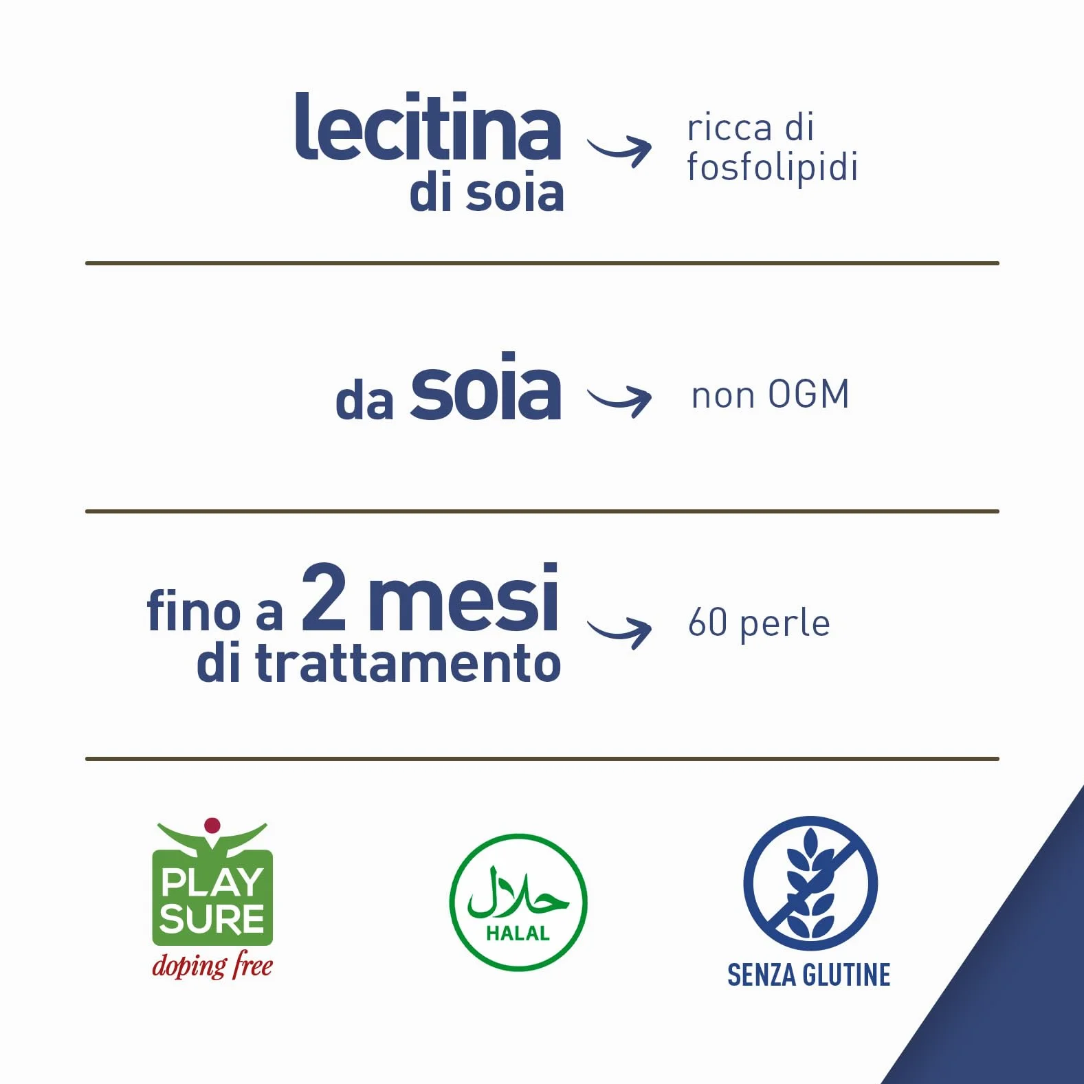 LongLife Lecitina Di Soia Fosfolipidi NON OGM Fonte vegetale fosfatidilcolina Metabolismo lipidi 2 mesi Senza glutine