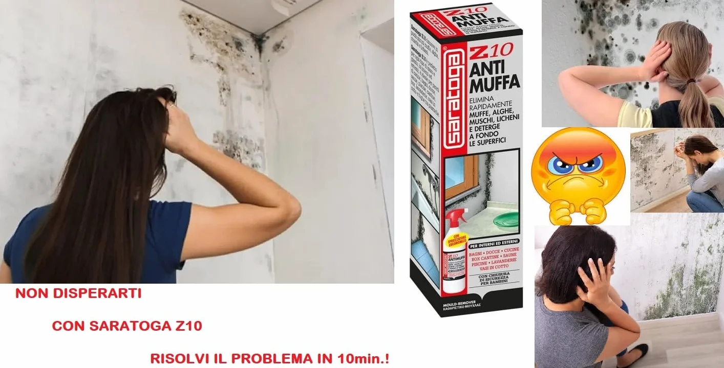 Saratoga Spray Antimuffa Z10 1L, Elimina Muffe Alghe Muschi Licheni, Uso Interno ed Esterno