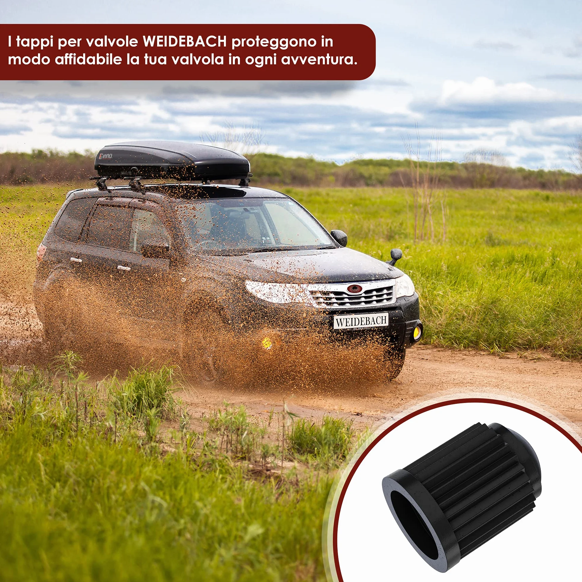 WEIDEBACH® Tappini gomme auto, 50 pezzi, tappi valvole pneumatici auto