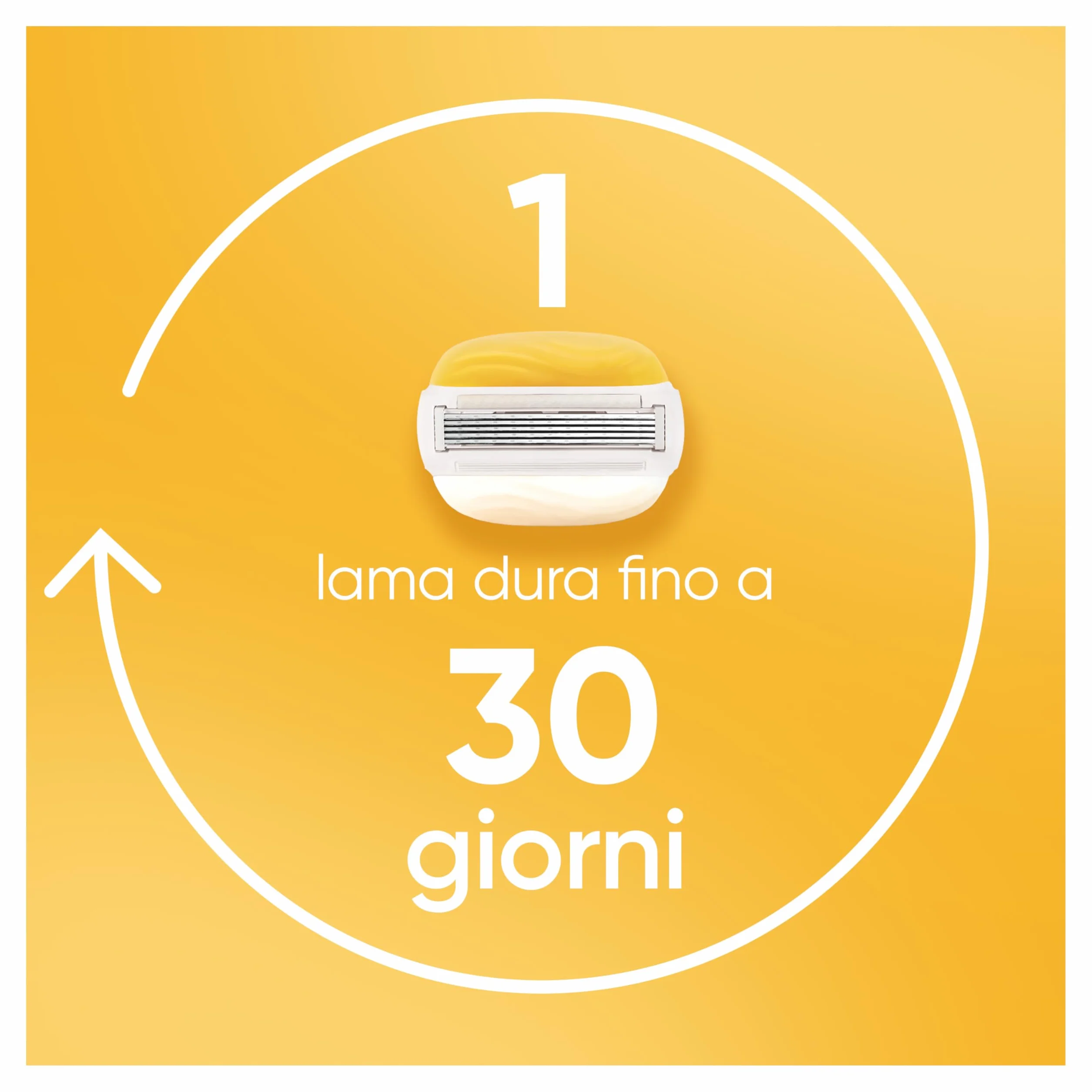 Gillette Venus Pro Comfortglide Rasoio da Donna al Profumo di Cocco 2 Lamette di Ricambio Manico in Metallo Riutilizzabile Gancio per Doccia