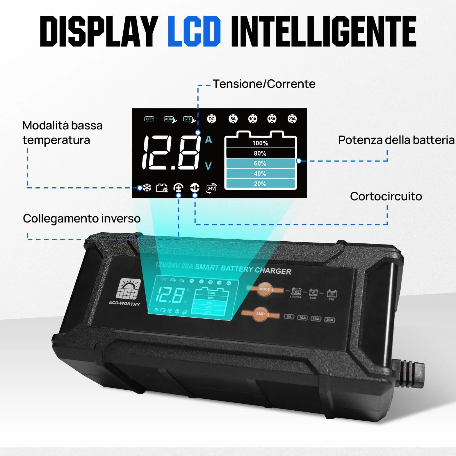 ECO-WORTHY 12V 24V 20A Caricabatterie LiFePO4 Rilevamento Automatico Piombo-Acido
