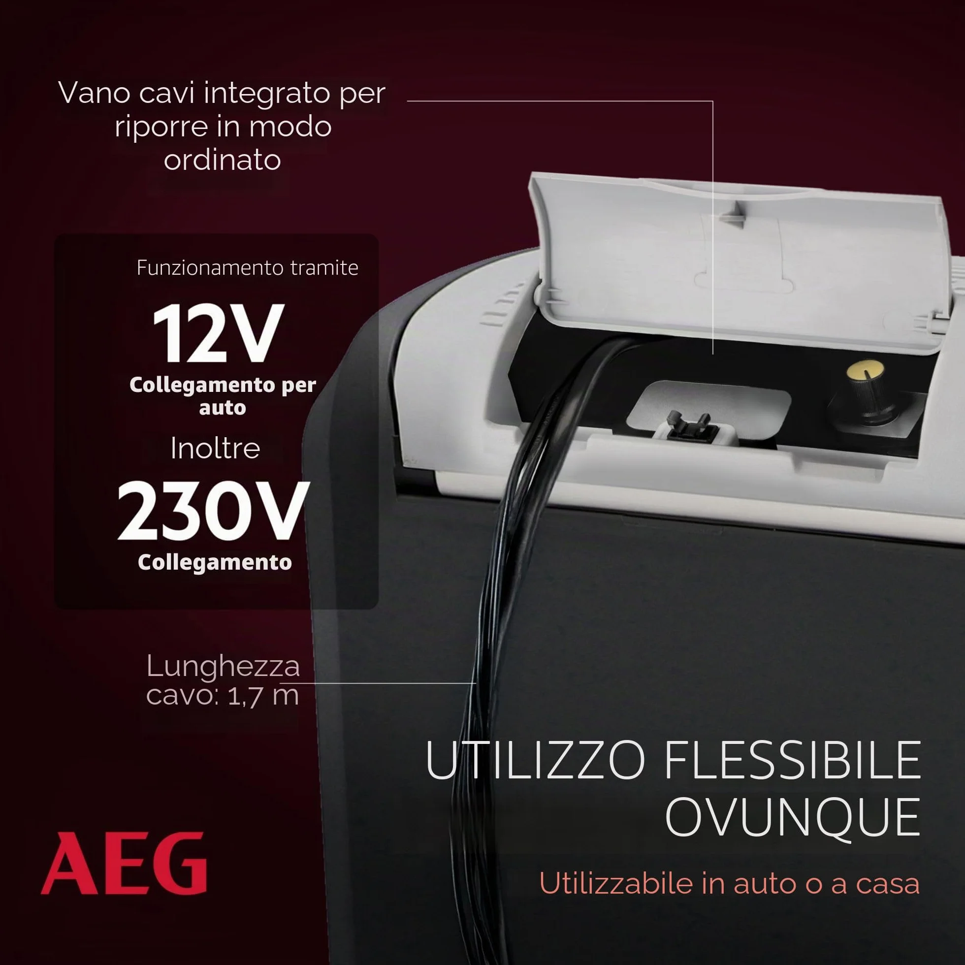 AEG Automotive Thermoelectric Cool Box KK 20 Litri, 12/230 Volt per Auto e Presa, Grigio
