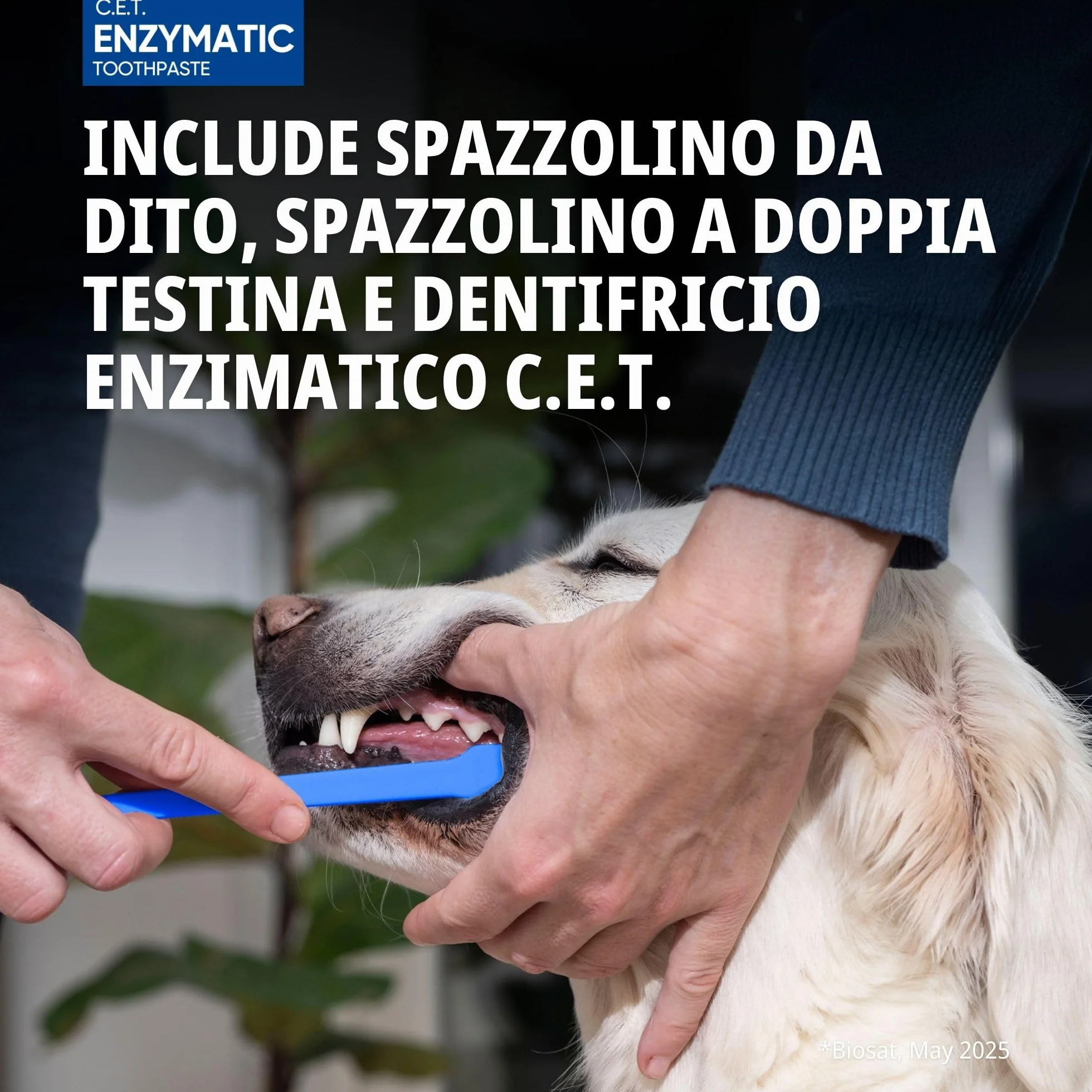 C.E.T. Dentifricio Enzimatico 70g Kit con Spazzolino