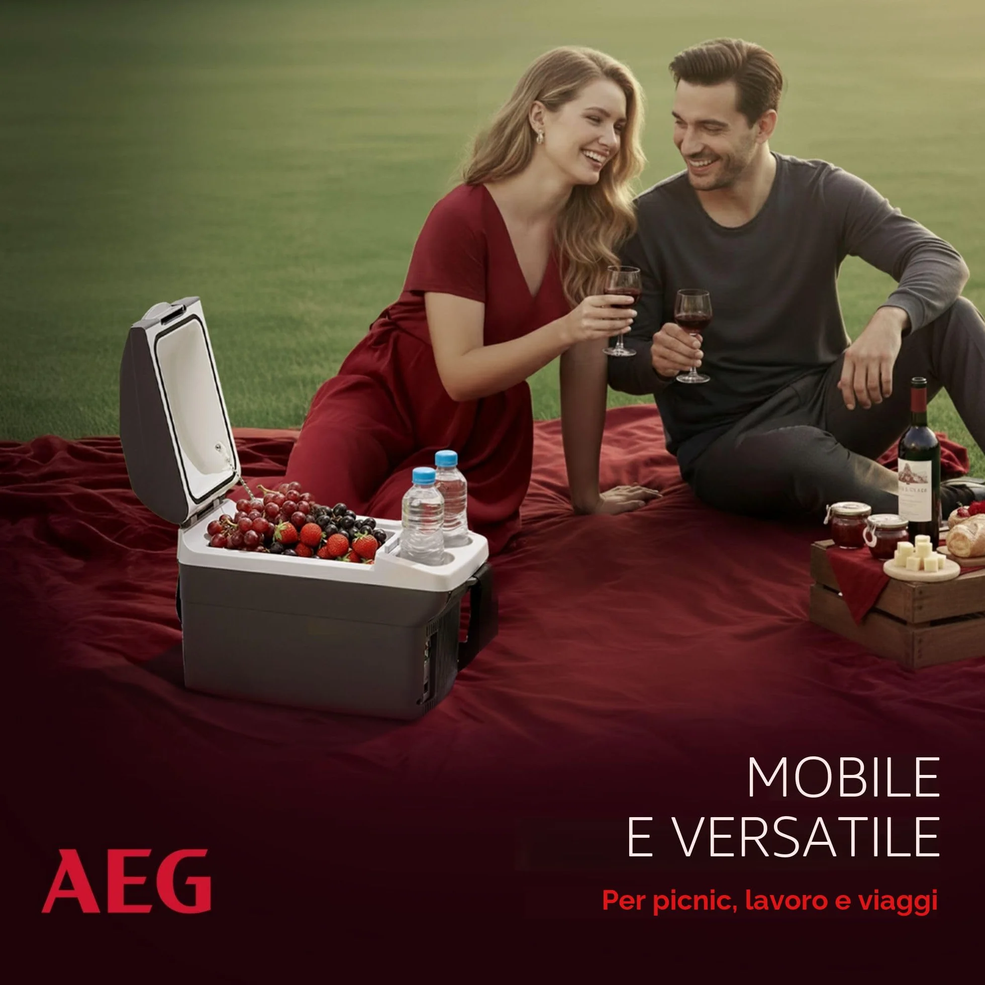 AEG Automotive 10693 Board-Bar BK 6-Contenitore termoelettrico da 6 Litri, 12/230 Volt, Presa, richiudibile in Auto, 6 Liter