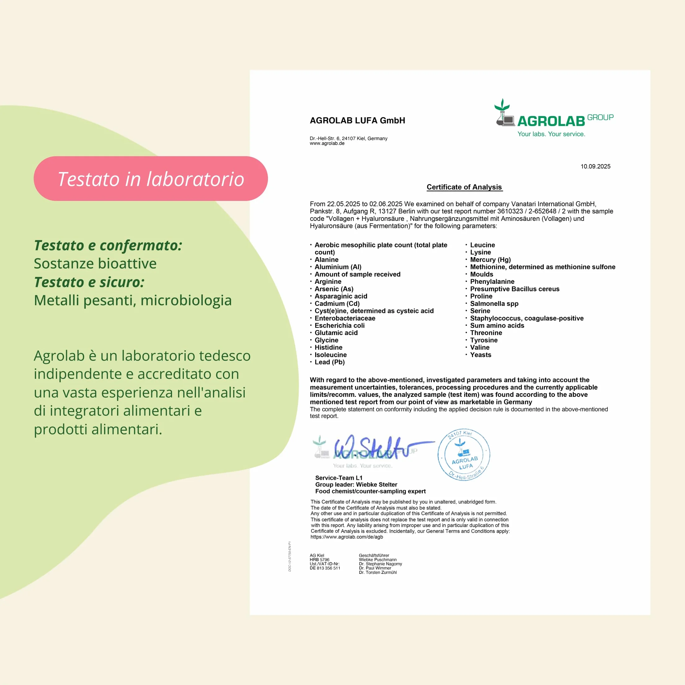 Vegavero Collagene Vegano + Acido Ialuronico | Vollagen® 800-1500 kDa | Integratore Anti Age 240 capsule