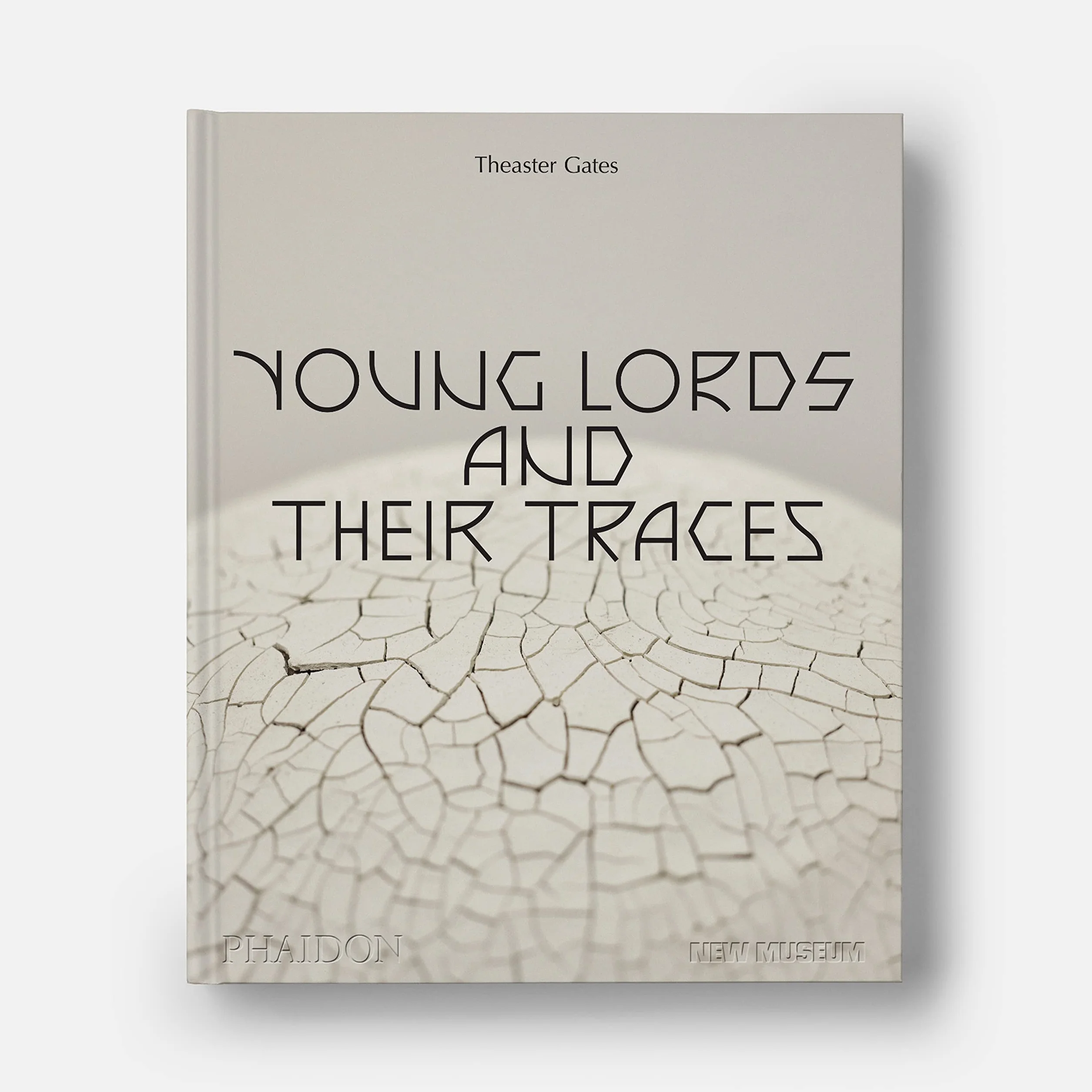 Theaster Gates: young lords and their traces