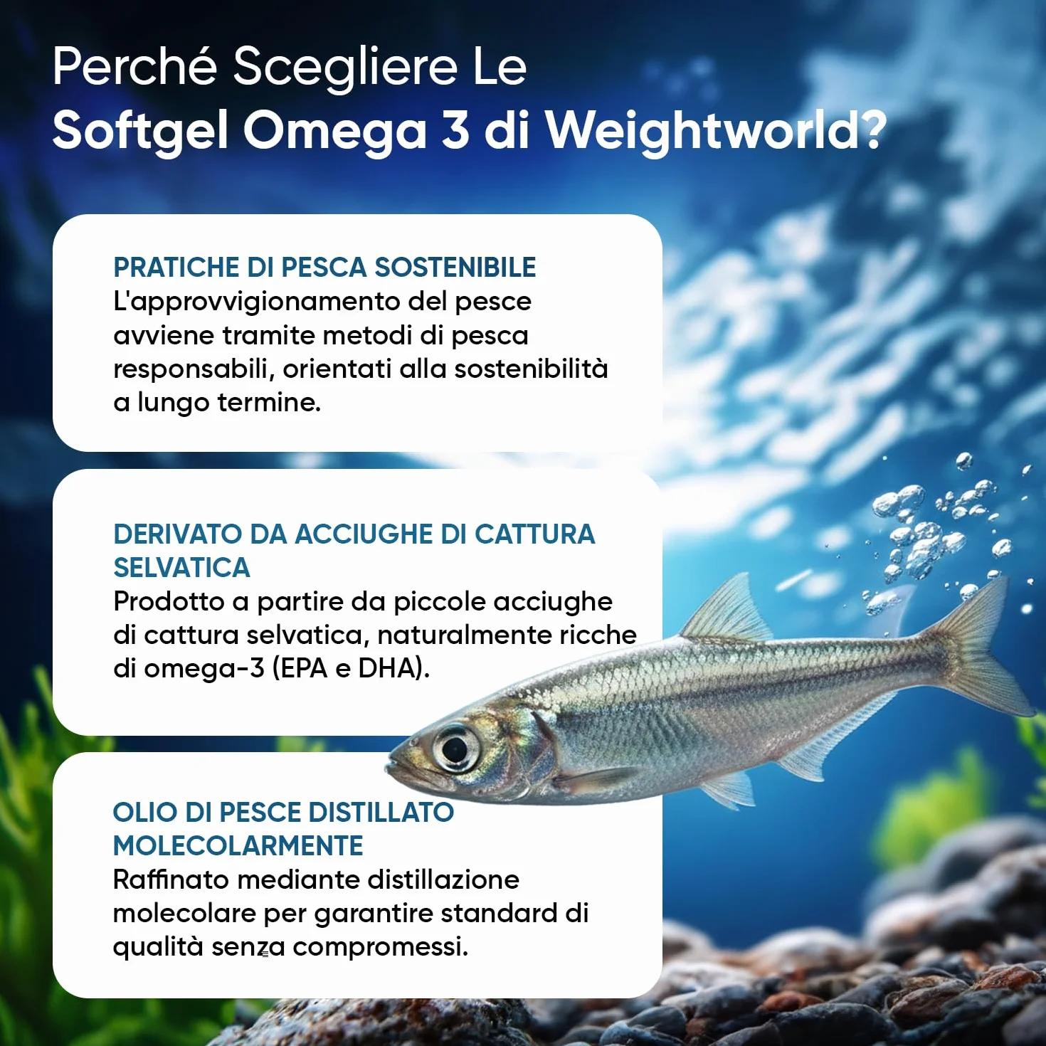 Omega 3 Olio di Pesce 1000mg EPA DHA 400 Softgel Acidi Grassi Essenziali