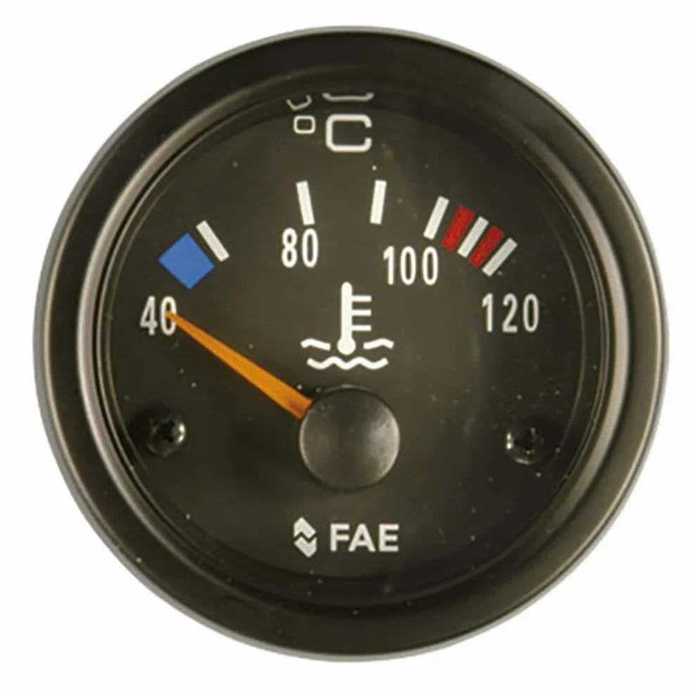 FAE 99560 accessorio per dispositivo