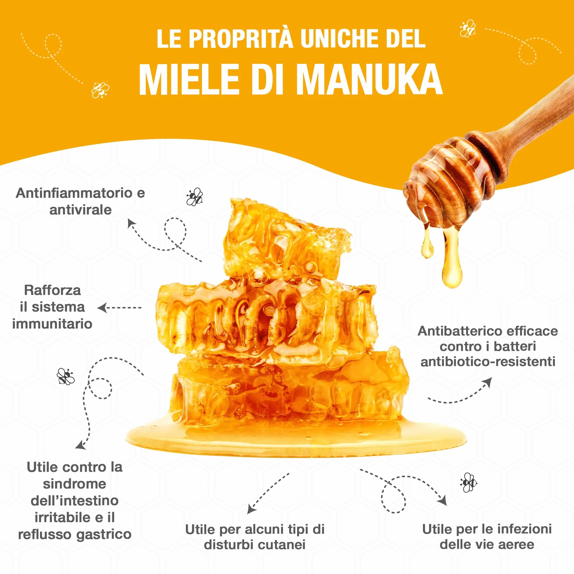 Pappa Reale Fresca con Miele Di Manuka e Vitamina B6, 10 Flaconcini Da 10 ml