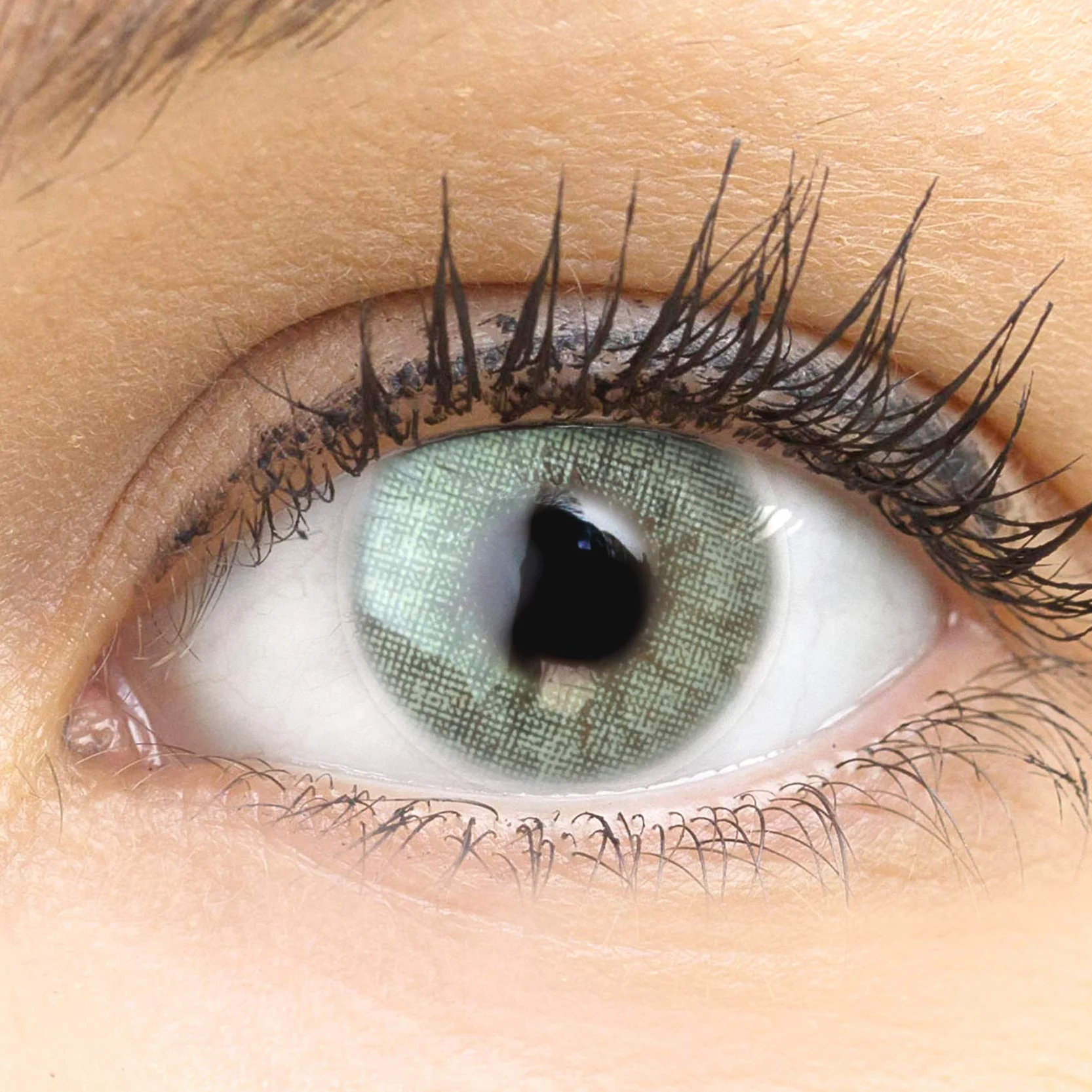 GLAMLENS Lenti a Contatto Colorate Verdi Keira Green - Mensili - Silicone Idrogel - 2 Pezzi - DIA 14.2 - 0.00 Diottrie
