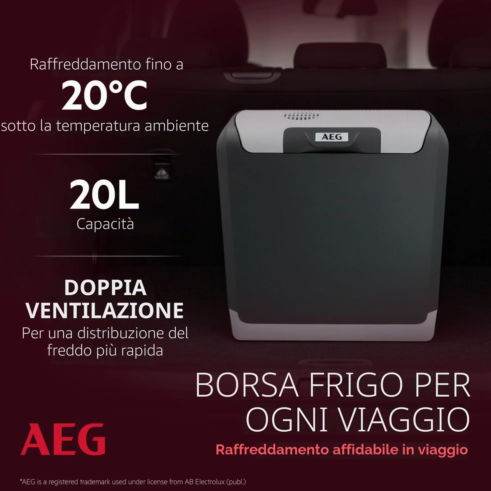 AEG Automotive Thermoelectric Cool Box KK 20 Litri, 12/230 Volt per Auto e Presa, Grigio
