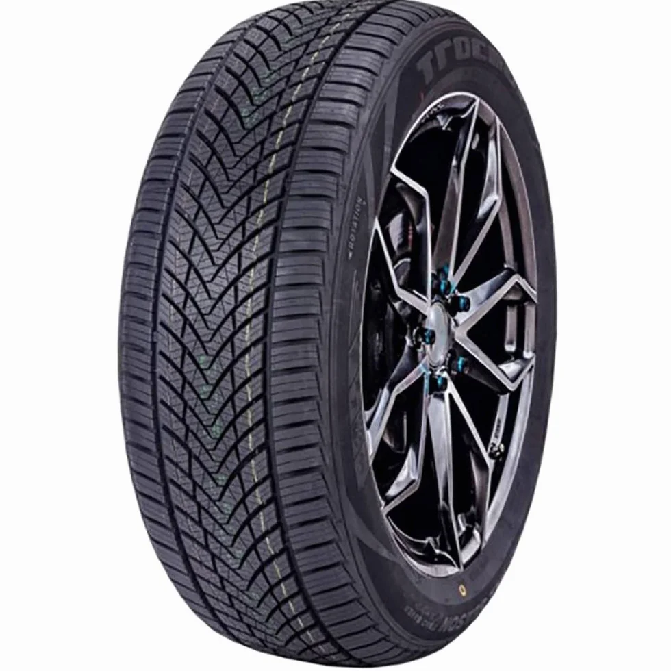 Pneumatici 4 stagioni 205/55/16 91 V TRACMAX TRAC SAVER