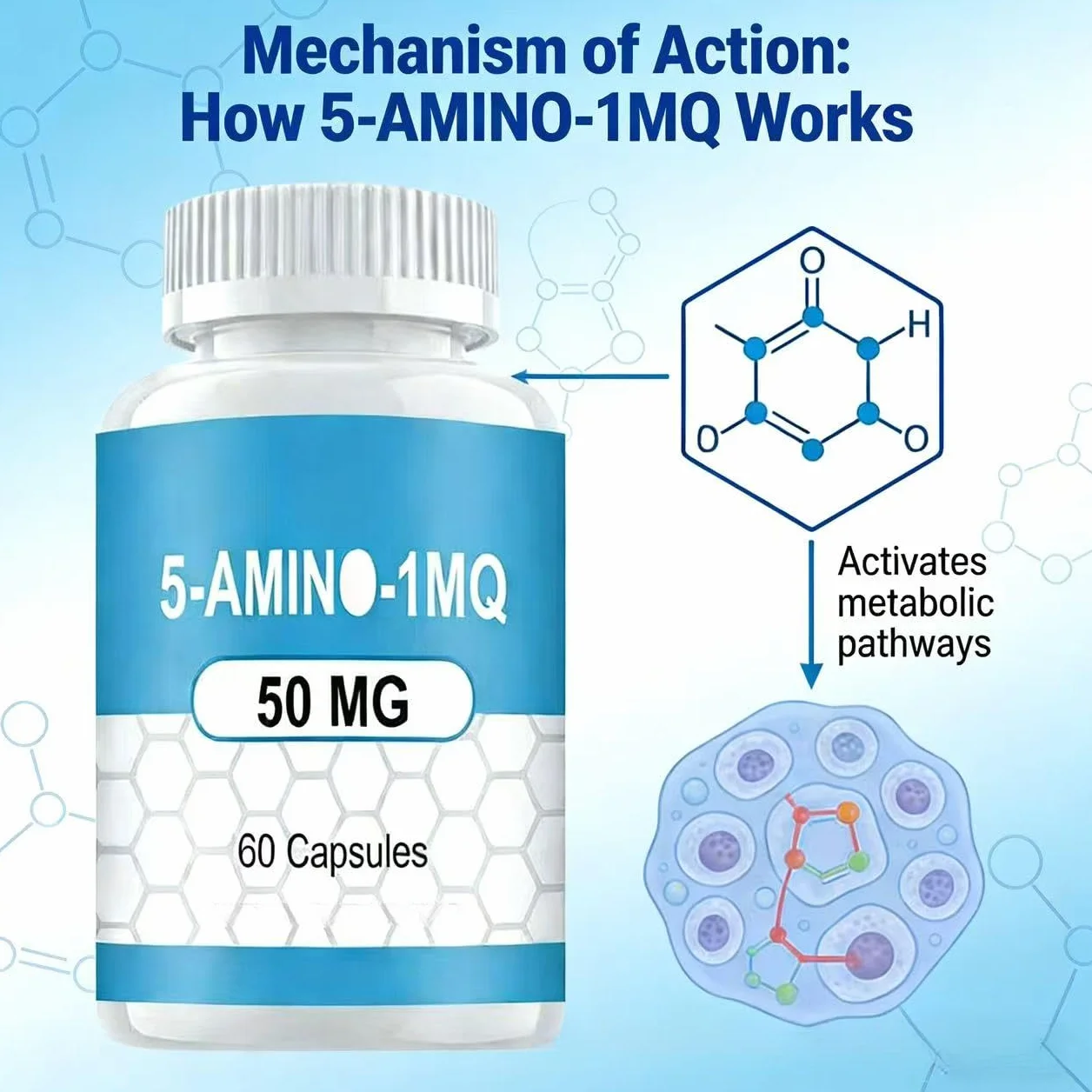 5-Amino-1MQ Supporto per l'energia muscolare e l'equilibrio metabolico