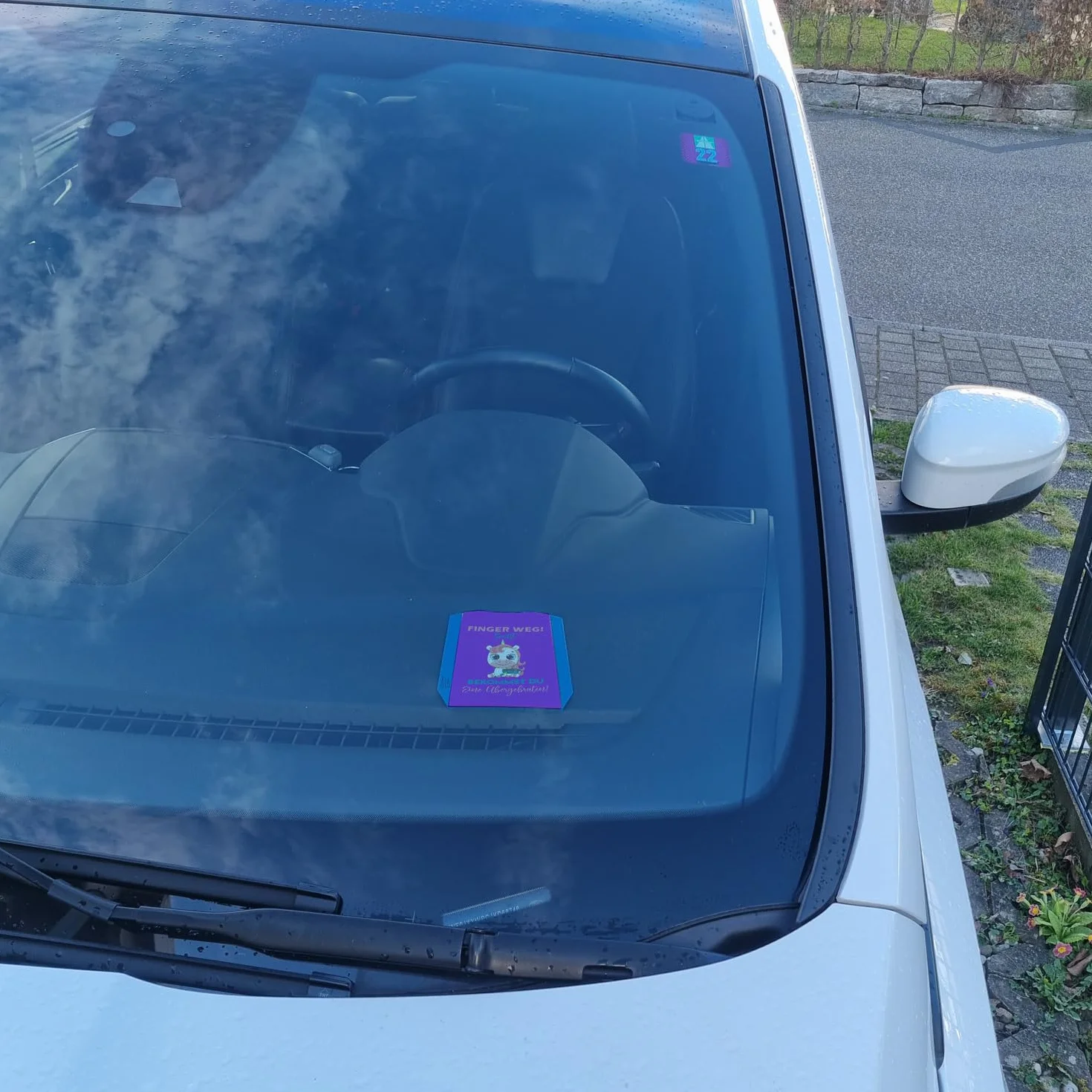 Disco di parcheggio unicorno con raschietto per ghiaccio decorazione auto