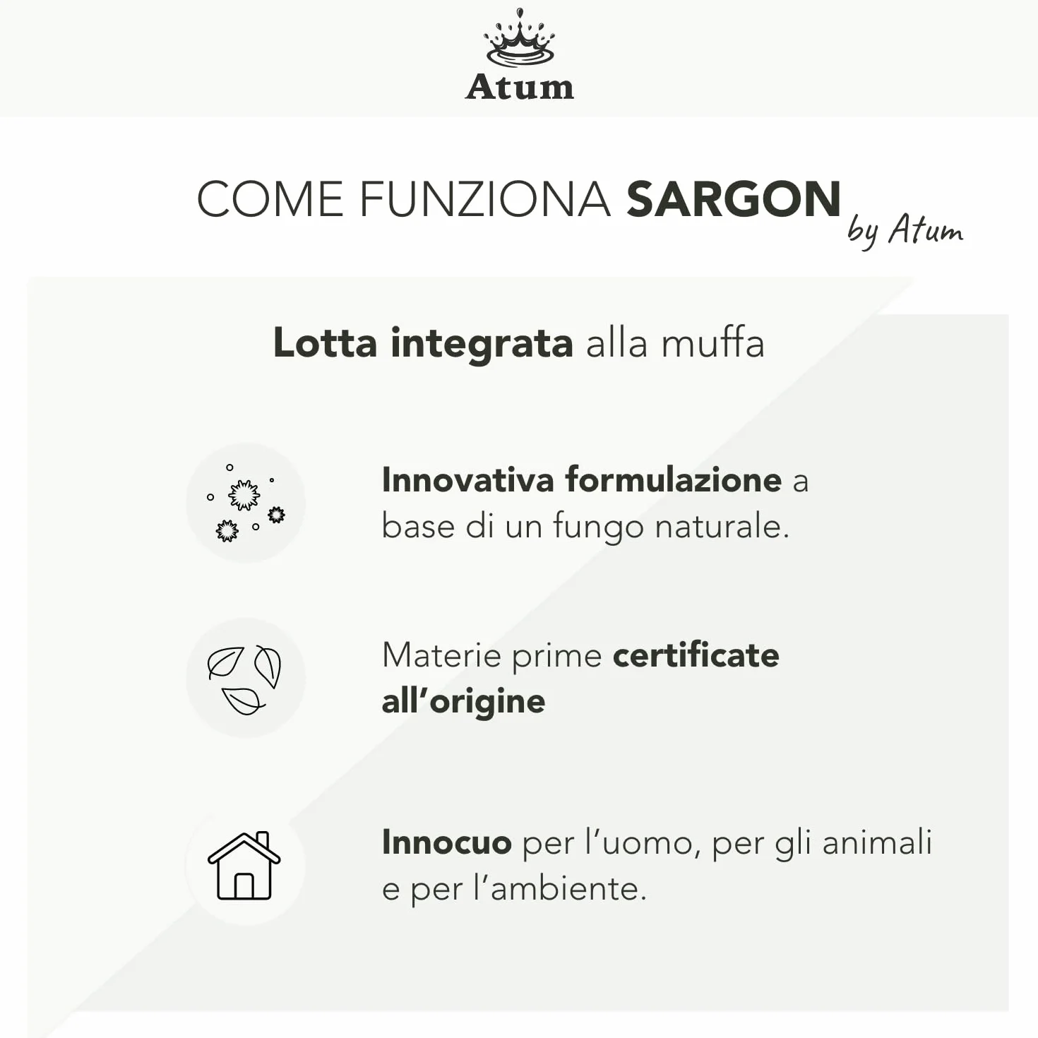 Sargon Rimuove la Muffa 100% Inodore 500ml Igienizza Muri e Pareti