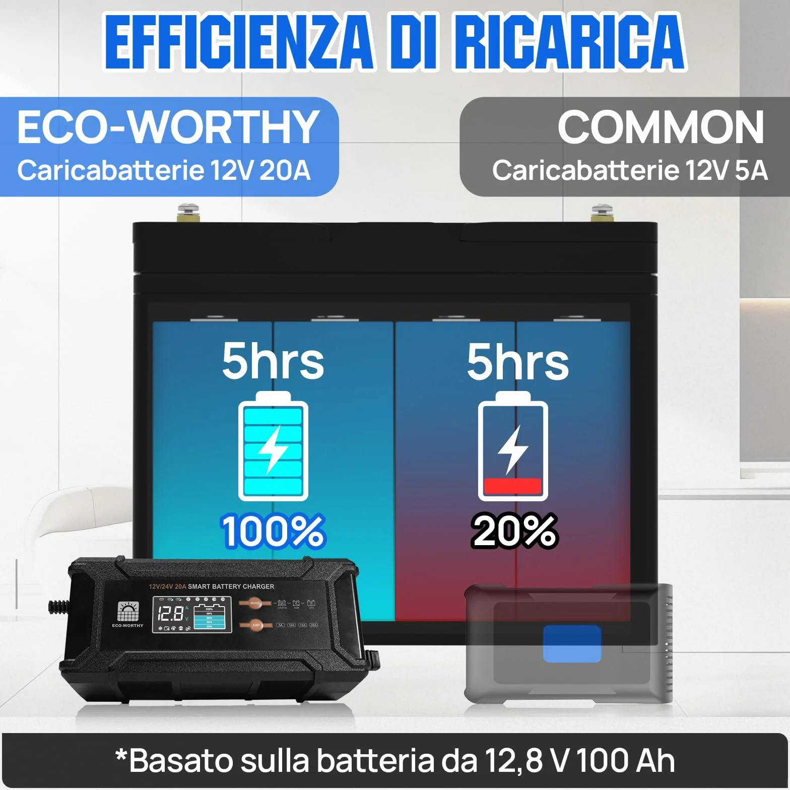 ECO-WORTHY 12V 24V 20A Caricabatterie LiFePO4 Rilevamento Automatico Piombo-Acido