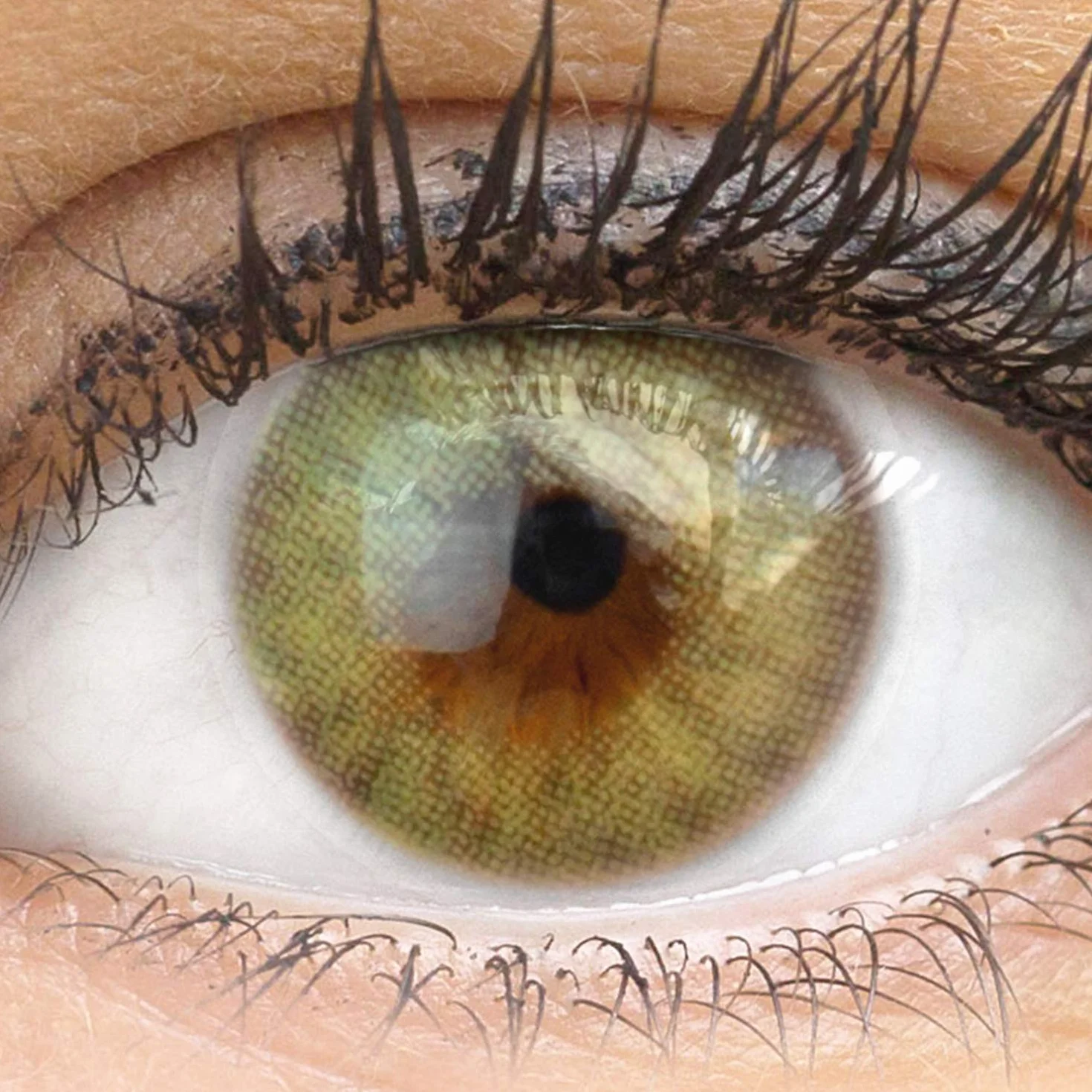 GLAMLENS Lenti a Contatto Colorate Verdi Bozen Green Mensili - Silicone Idrogel 2 Pezzi DIA 14.00