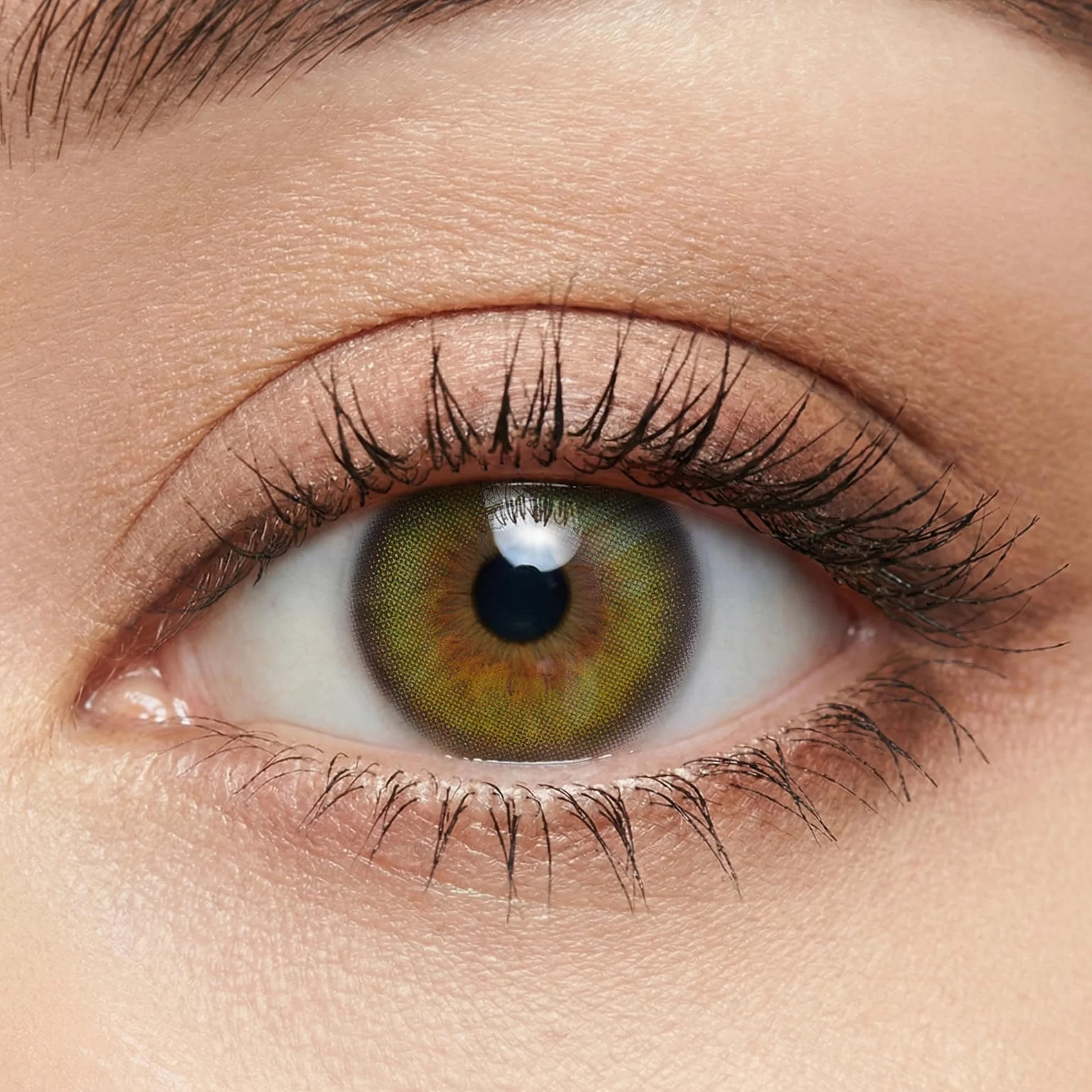 GLAMLENS Olive Grove Lenti a Contatto Colorate Effetto Naturale 3 mesi