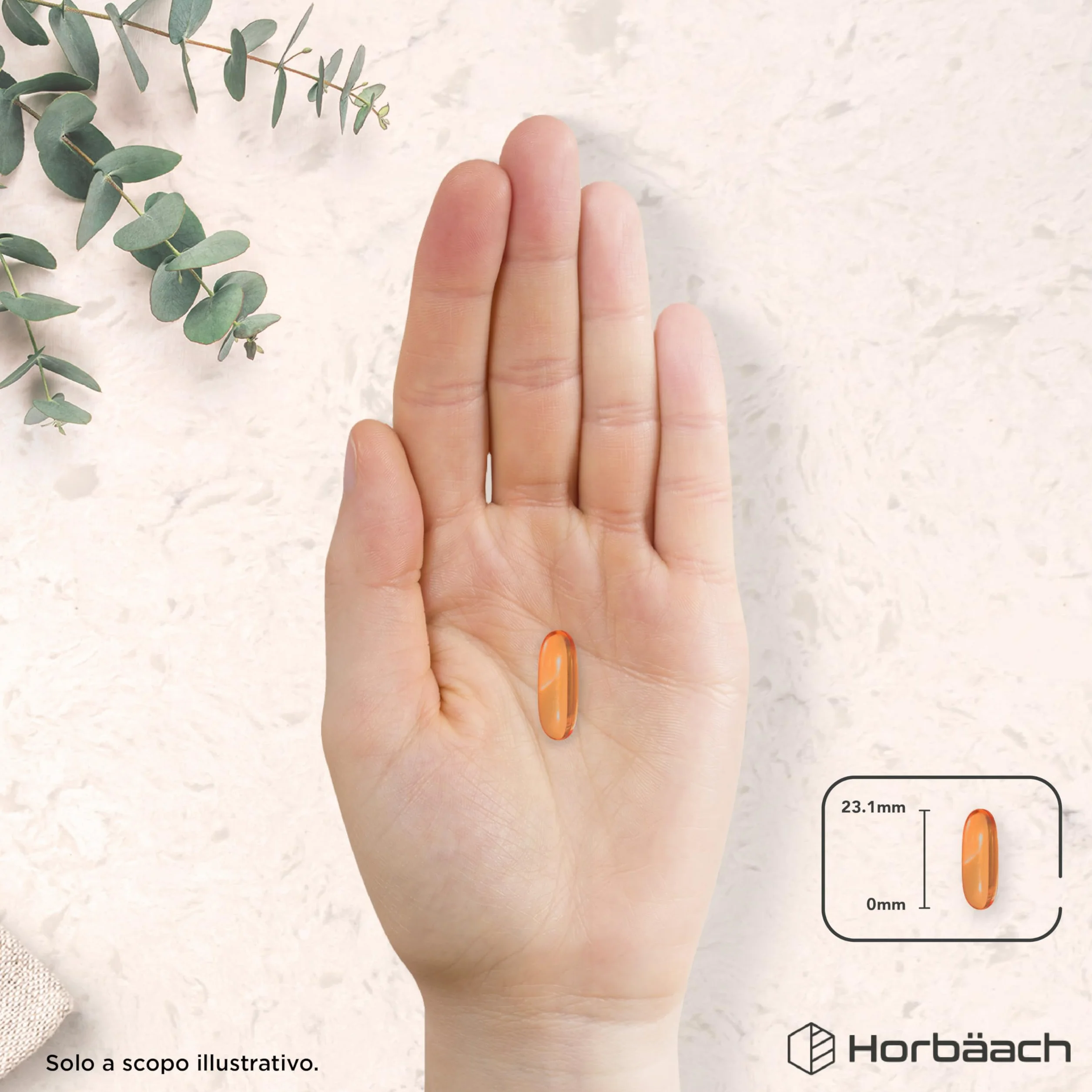 Lecitina di Soia Capsule 1400 mg 90 Capsule Molli Integratore Alimentare Horbaach