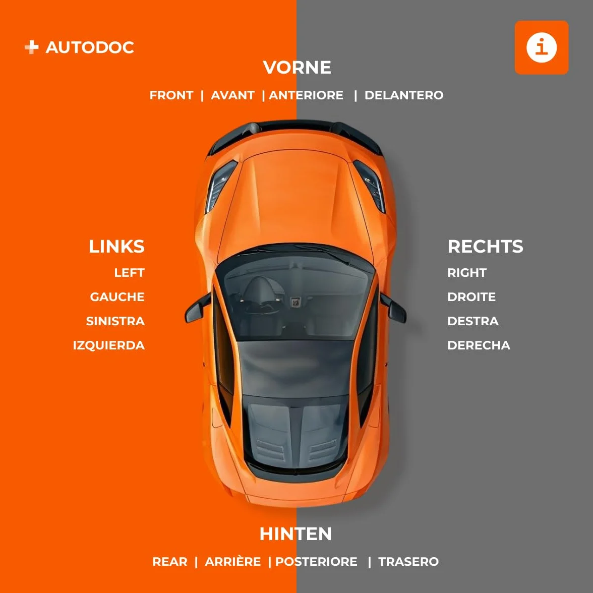 RIDEX Mozzo ruota Anteriore bilaterale con anello sensore ABS per KIA SORENTO I JC
