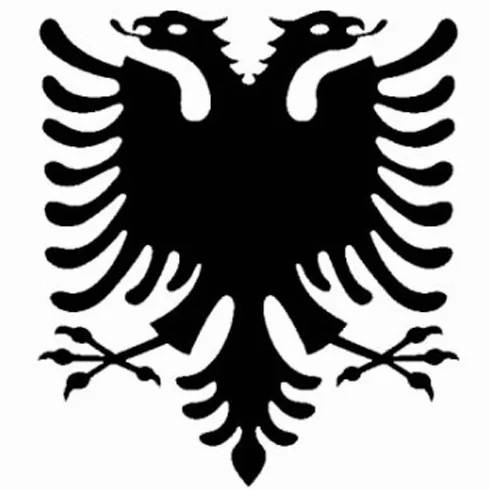Car Sticker Aquila Shqipë Albania 11x11 cm Nero 2X