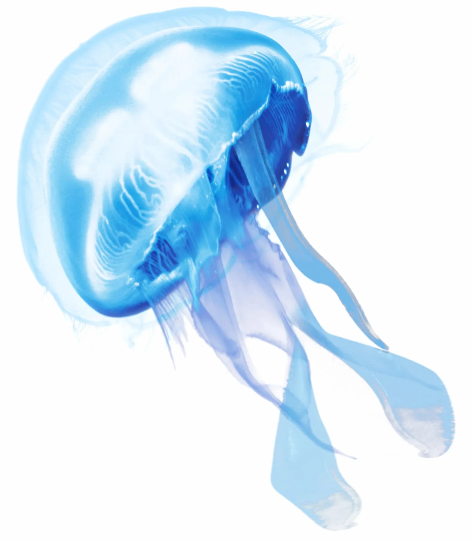 Penna Gel Dopopuntura 10ml Azione Rapida Contro Punture Meduse Zanzare Ortiche Mosche Tafani Zecche Api Vespe