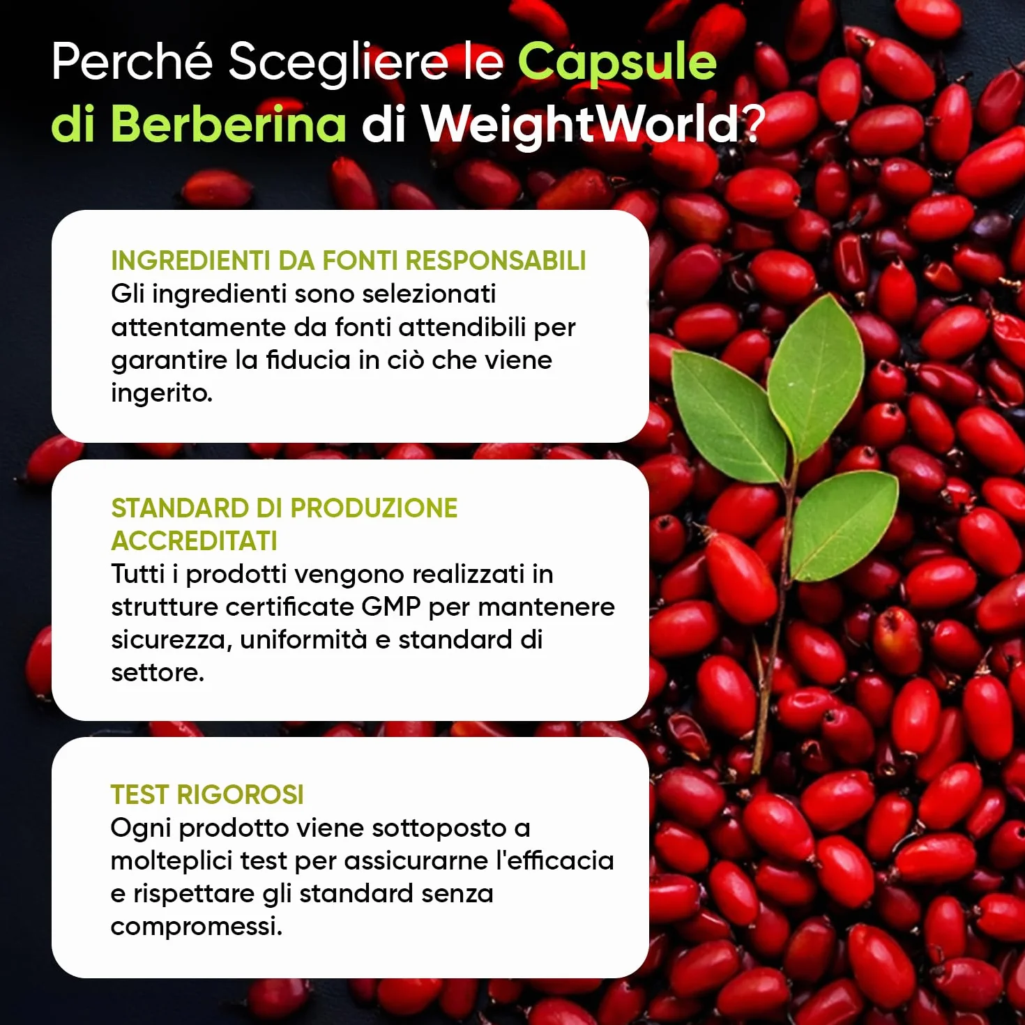Berberina Vegana 500 mg Pura 85% Integratore 120 Capsule Berberis Aristata Senza Magnesio Stearato Prodotto in Europa