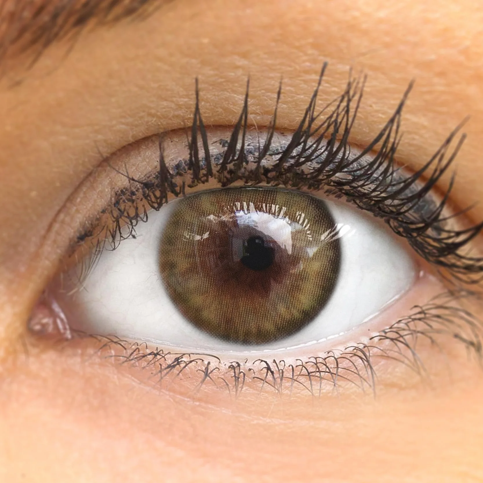 GLAMLENS Avila Green Lenti a Contatto Colorate Verdi - Silicone Idrogel Naturali 2 Pezzi DIA 14.20 Senza Correzione