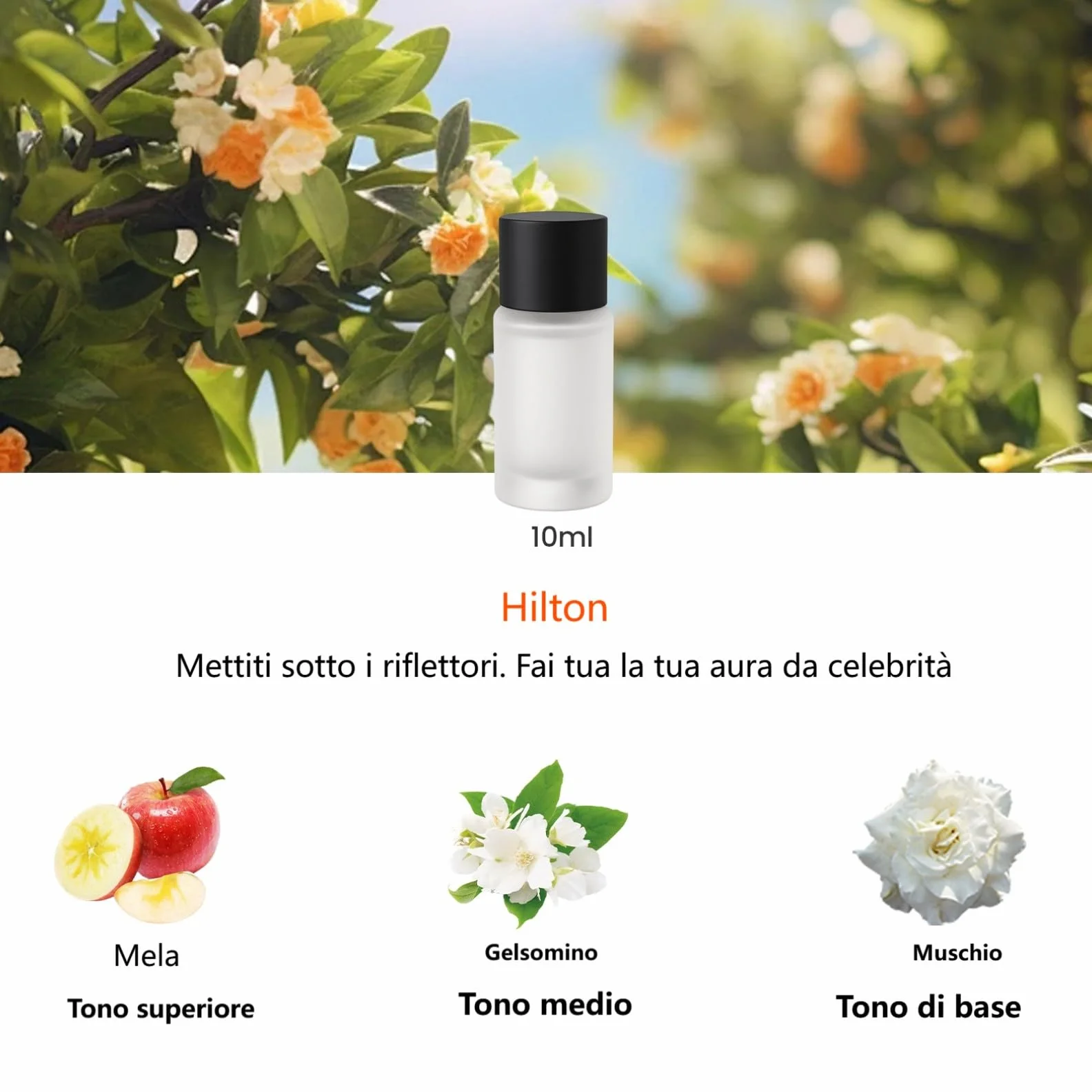 Clip Profumo per Diffusore Auto CFK-3Z CFK-6Z 30 ml (3×10 ml) Cologne Chanell Hiltonn