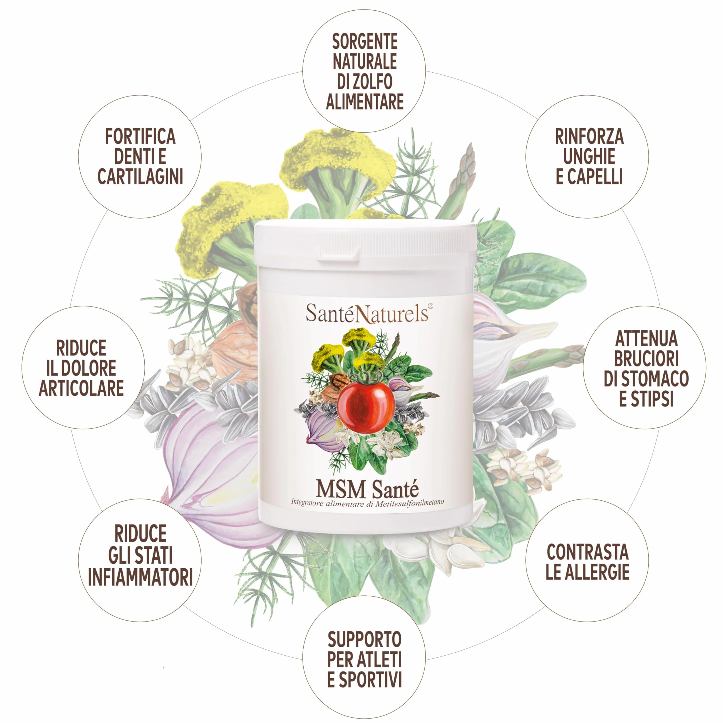MSM Santè Metilsulfonilmetano Puro 99,9% 500 g Polvere Supporto Articolazioni Ossa Unghie Muscoli Capelli