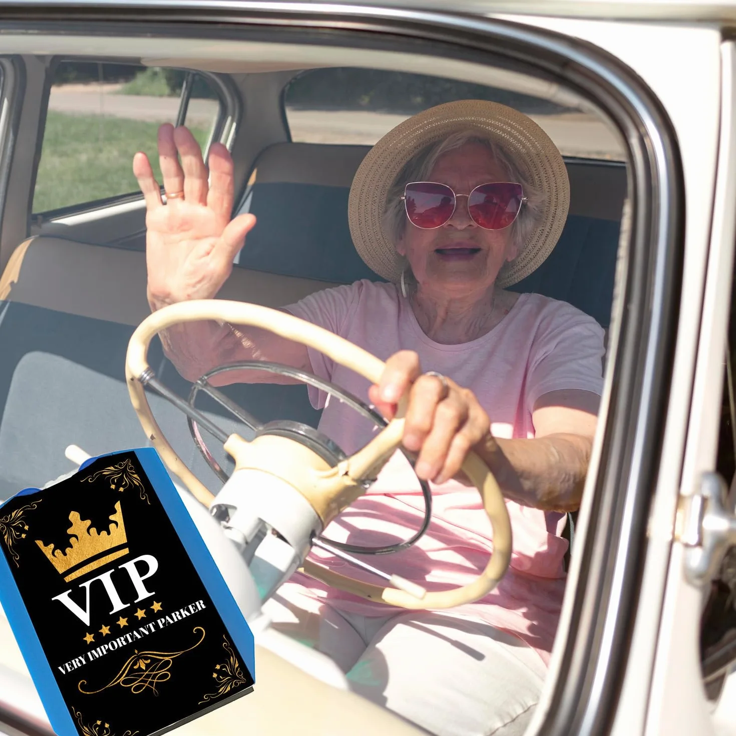 VIP Disco di parcheggio con scritta divertente 2 chips per carrello