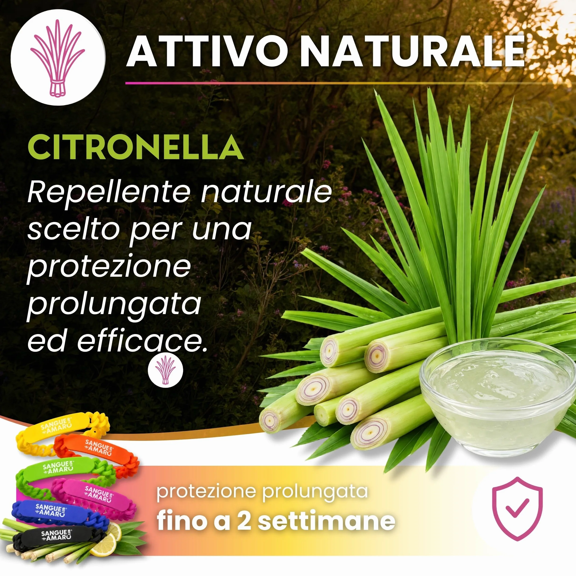 Albagarden Braccialetto Antizanzare alla Citronella Silicone Profumato con Olio Essenziale Naturale