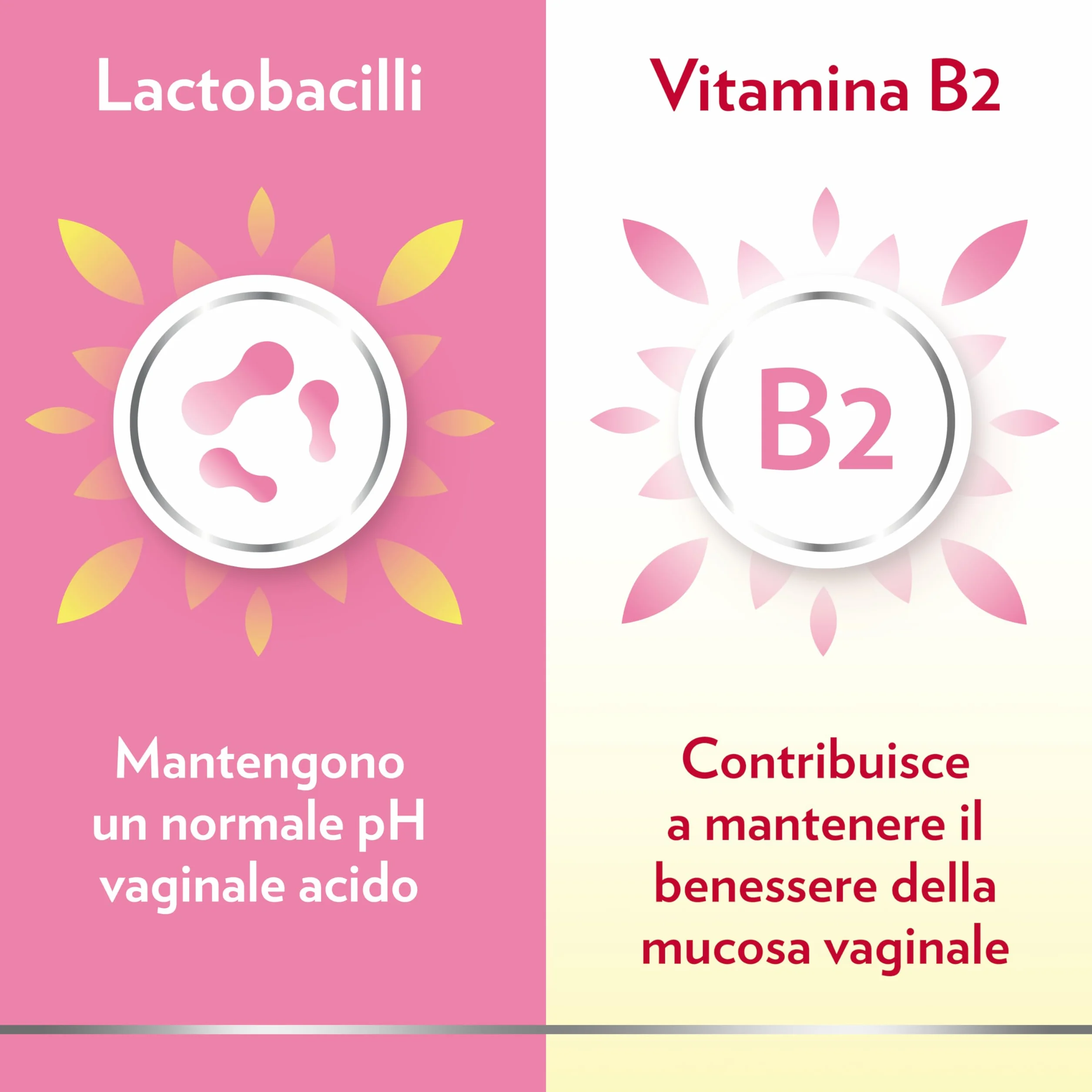 Gyno-Canesflora Benessere Intimo Integratore Orale Donna Lactobacilli Vitamina B2 Probiotici Flora Intima Vaginale 30 Capsule