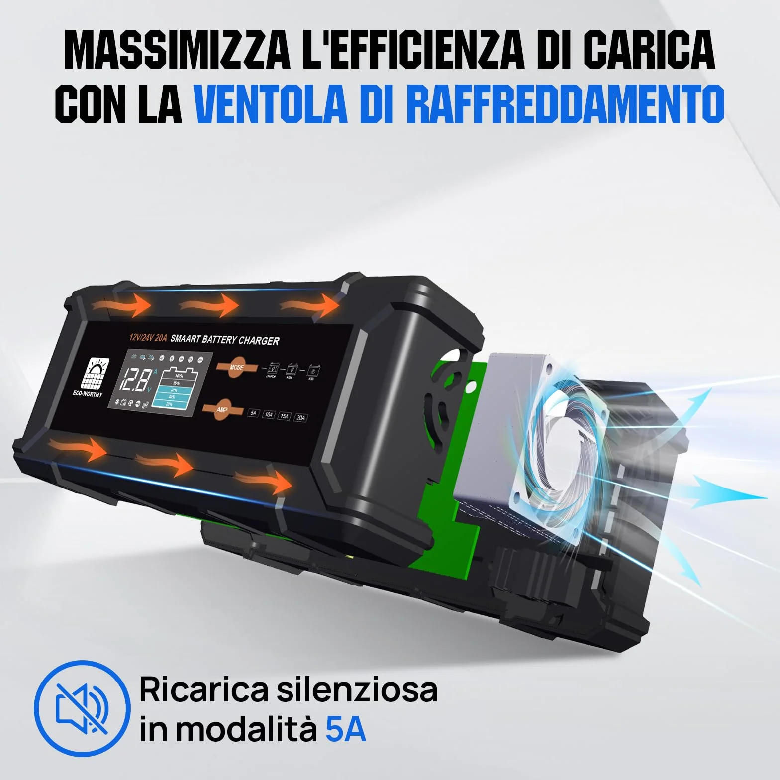 ECO-WORTHY 12V 24V 20A Caricabatterie LiFePO4 Rilevamento Automatico Piombo-Acido