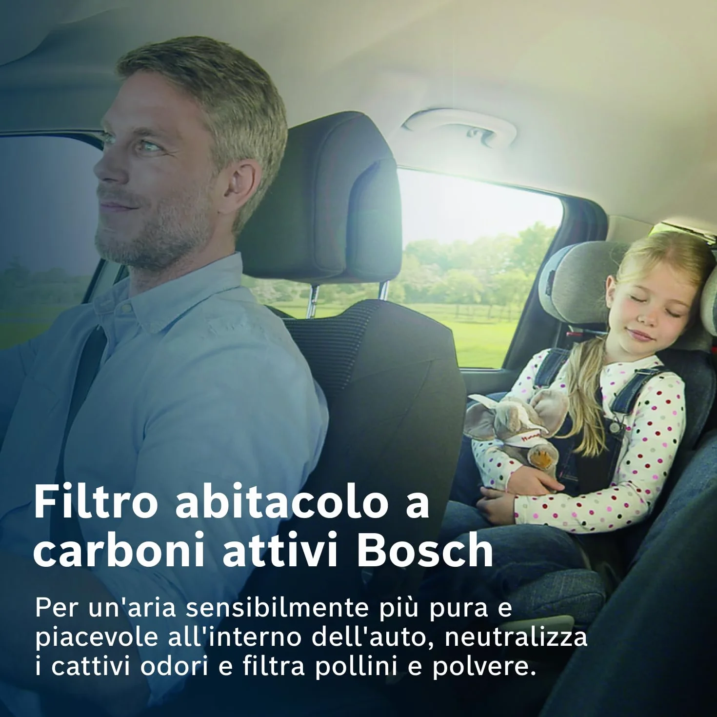Bosch Filtro Abitacolo ai Carboni Attivi R2543, Filtro di Ricambio