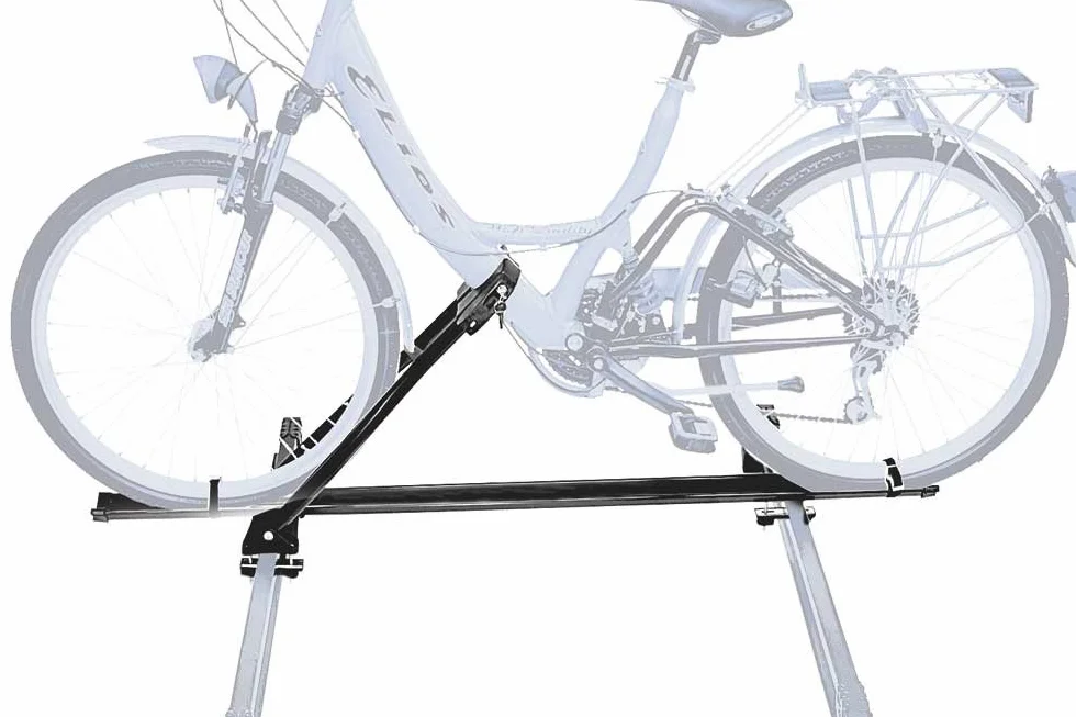 Peruzzo PE 607 Portabici da Tetto, Napoli Steel