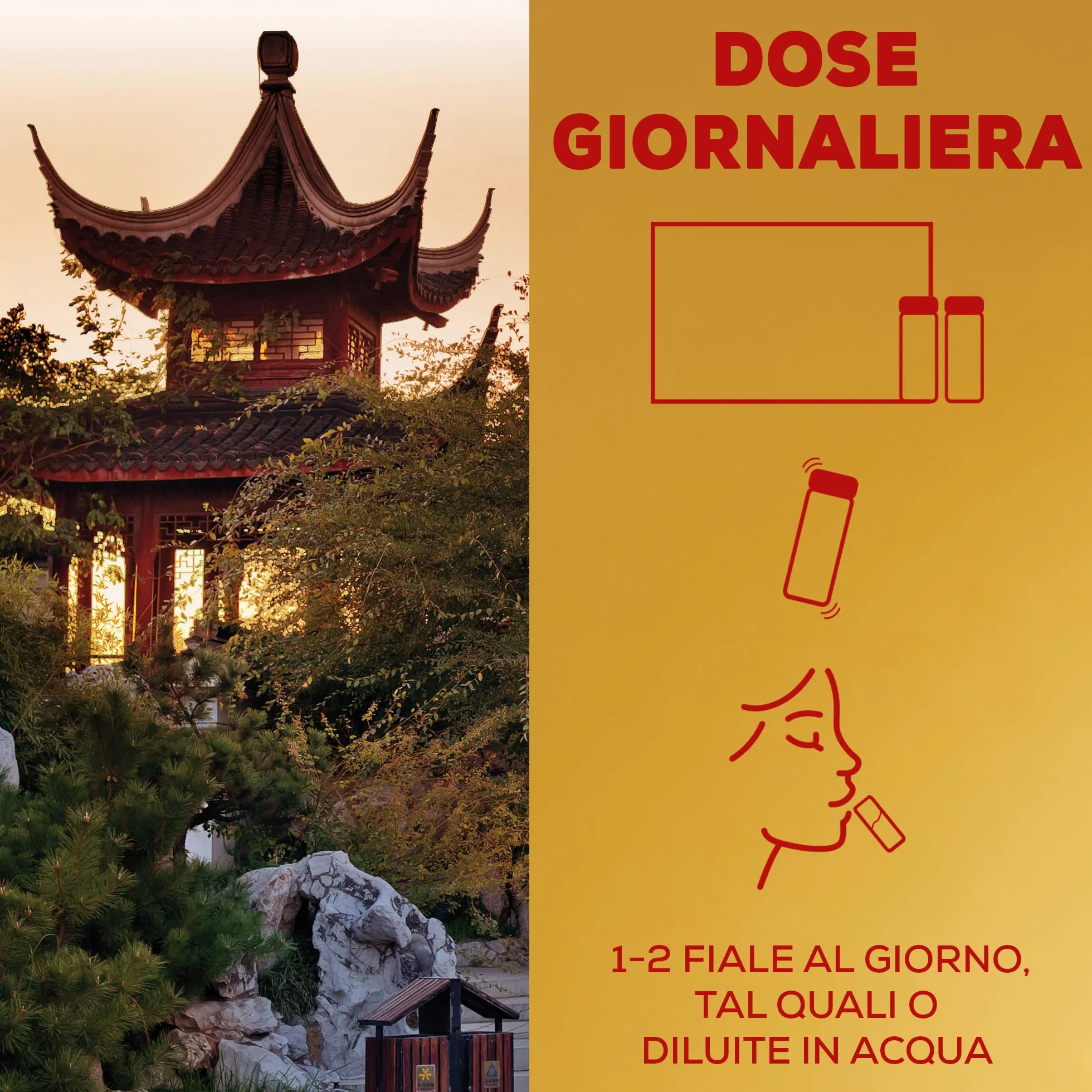 Pappa Reale Ginseng e Polline Tonico Fisico e Mentale Integratore Alimentare Senza Glutine 8 Fiale 10 ml