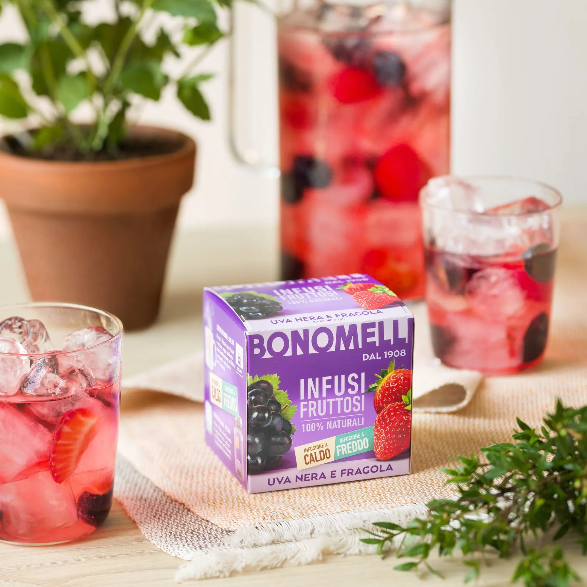 Bonomelli Infusi Fruttosi Uva Nera e Fragola, Confezione da 12 Filtri, 100% Naturali (24g)