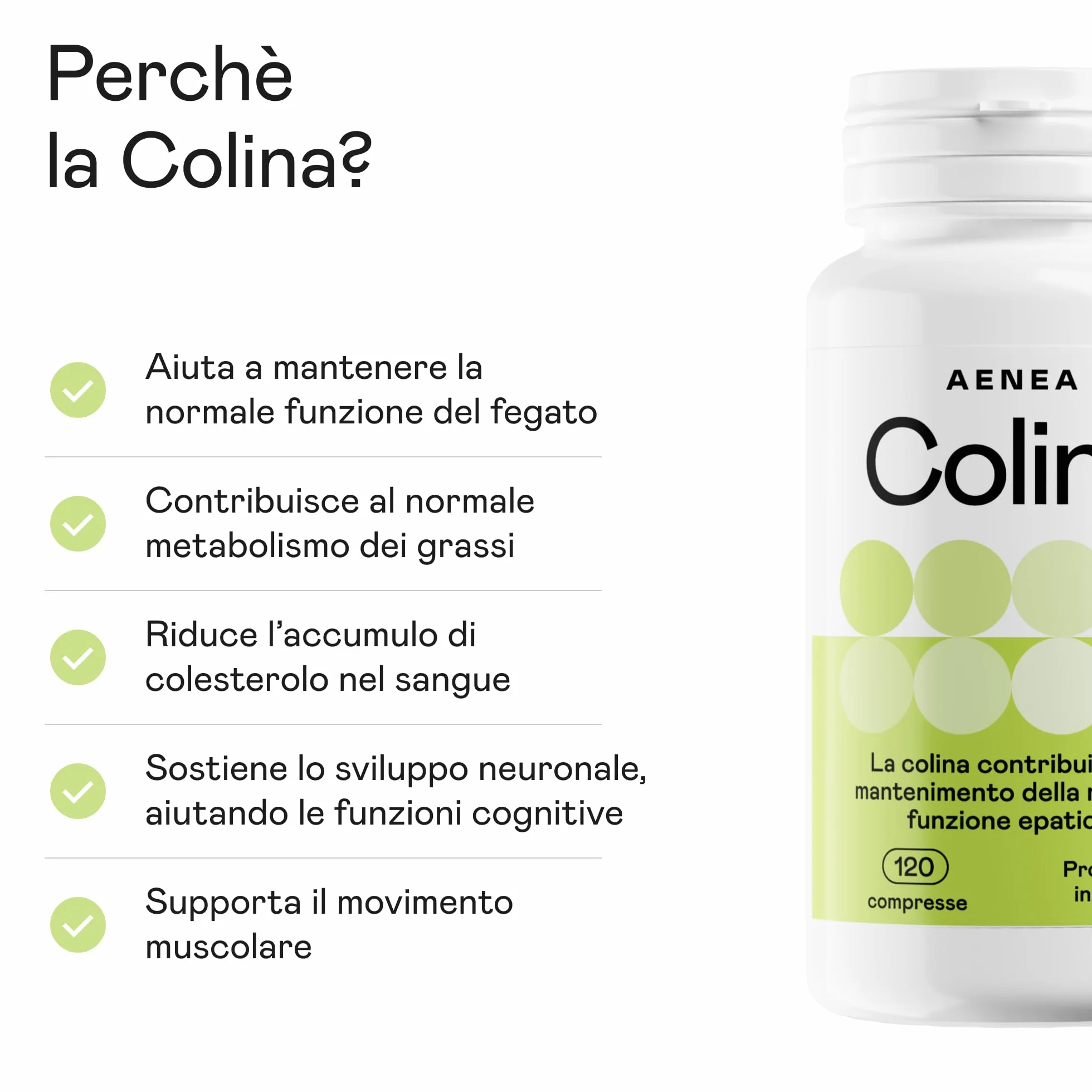 Colina Integratore 120cps Alto Dosaggio 1200mg Colina Bitartrato Depura Fegato Funzione Epatica Metabolismo Grassi Detox Made in Italy