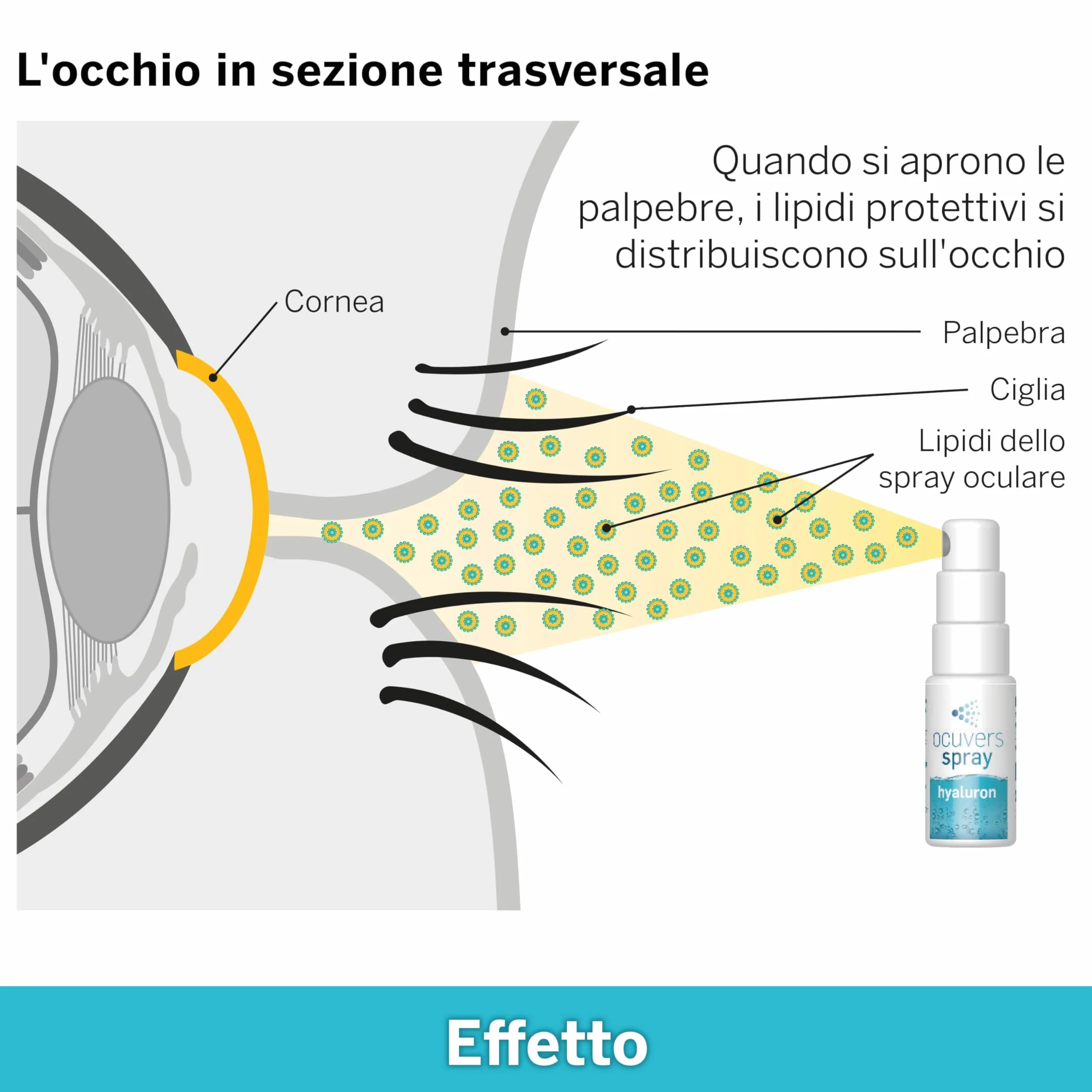 Ocuvers Hyaluron Spray Oculare 15 ml – spray per secchezza oculare con liposomi, senza conservanti
