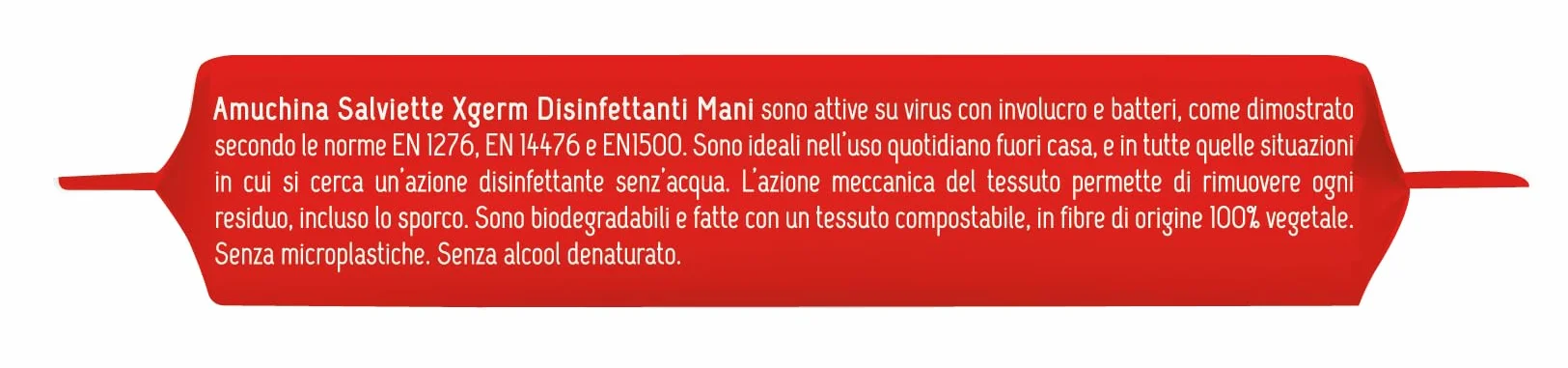 Amuchina Xgerm Salviettine Mani, 6 x 20 Salviette