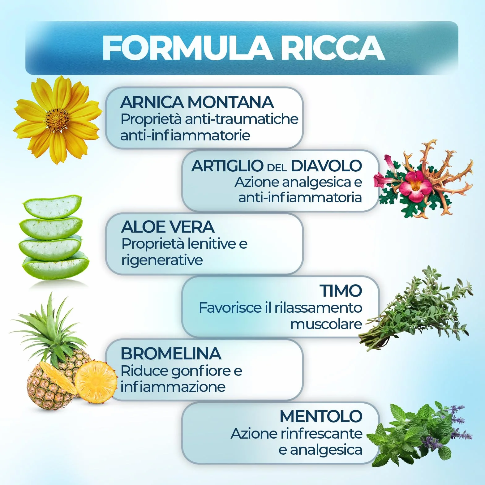 Arnica Gel Forte 500ml Extra Forte per Massaggi Muscoli e Articolazioni