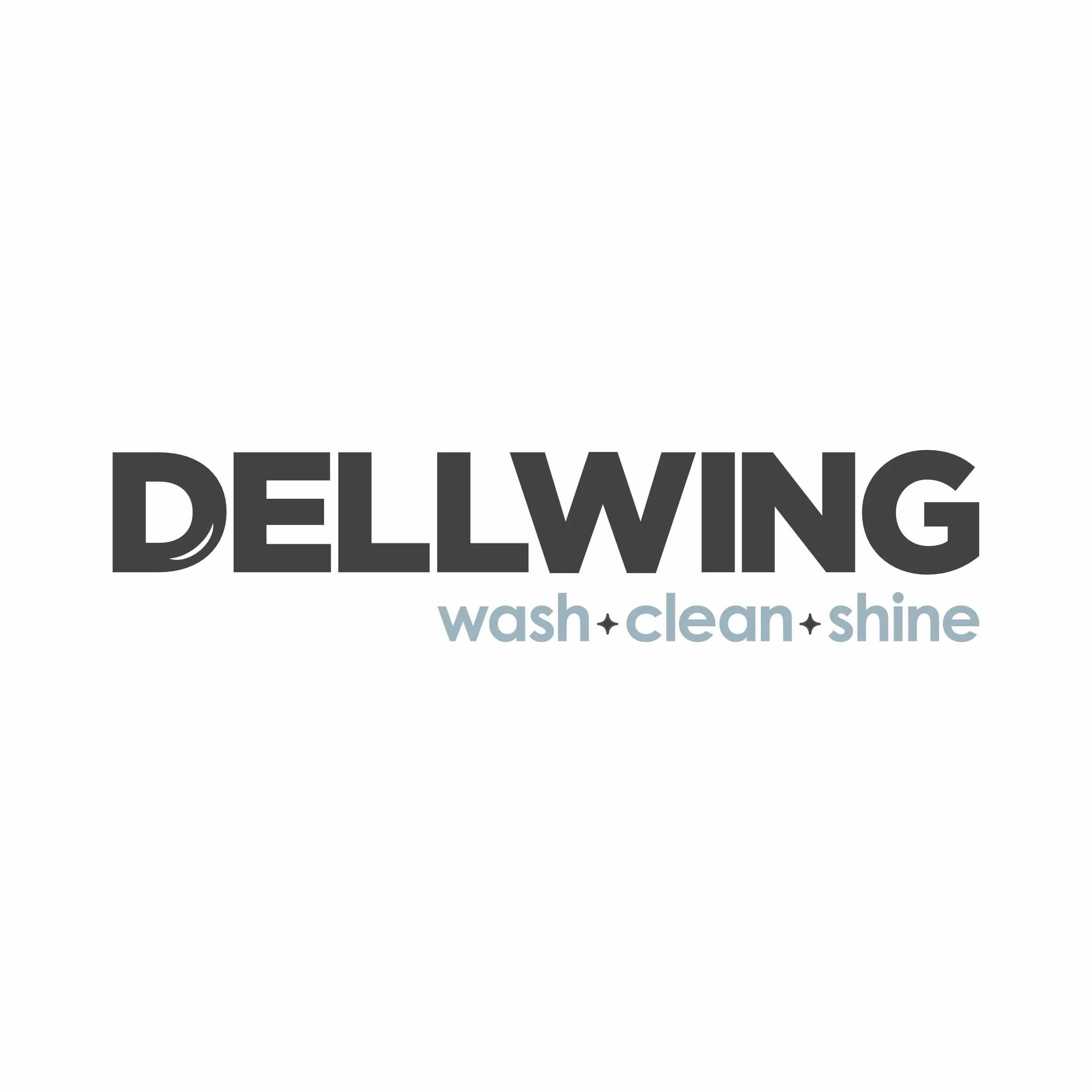 DELLWING HD detergente speciale alcalino 5L - concentrato di detergente ad ultrasuoni premium per la pulizia di parti di automobili come carburatori, testate cilindri
